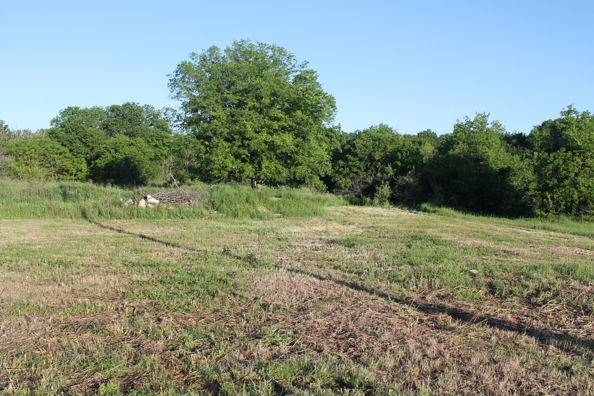 402 Carter Spur
