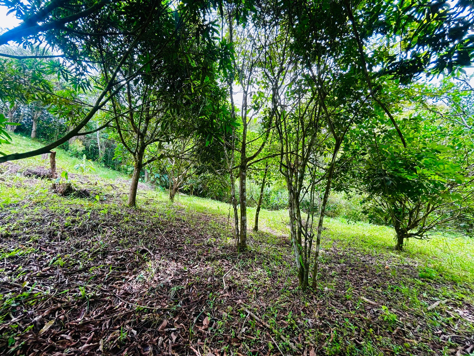 Ocean & Mountain View Lot with Multiple Building Sites-20 Minutes from Uvita