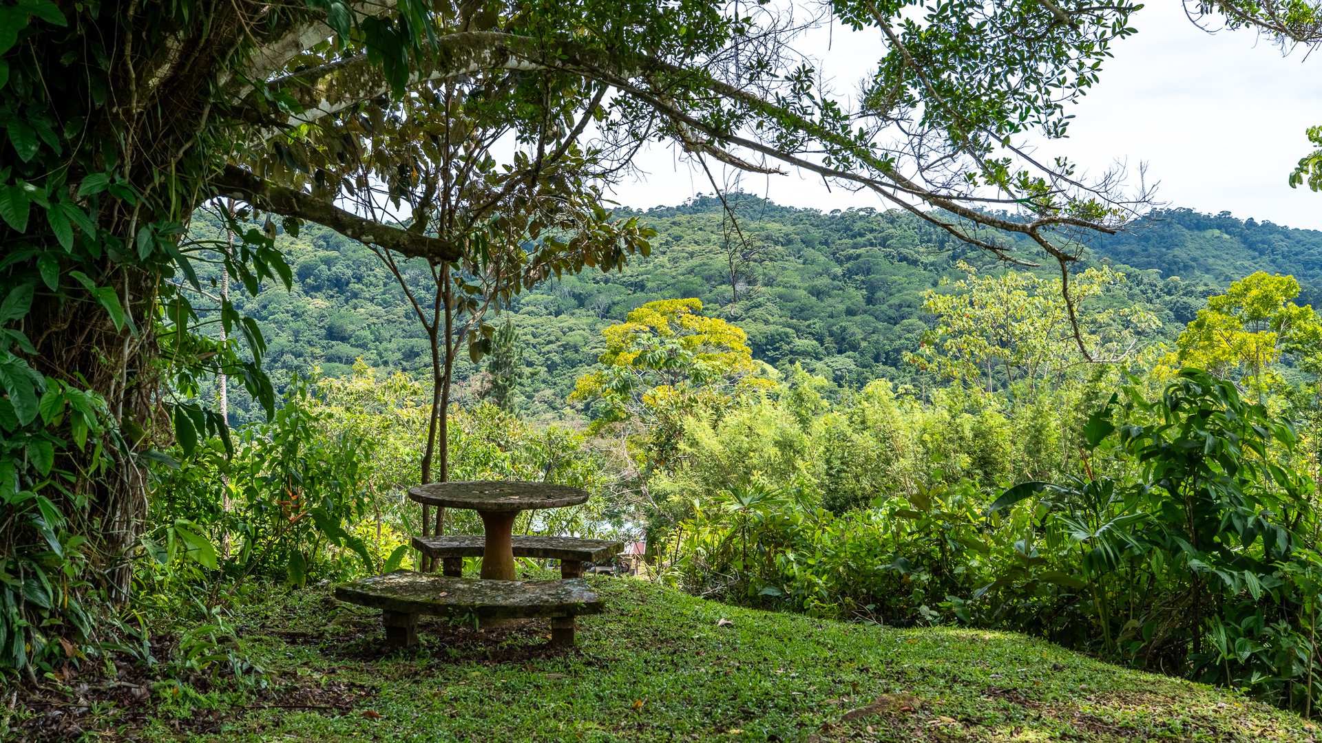 Mountain Home with Guest Cabin & Additional Building Site Near Nauyaca Waterfalls