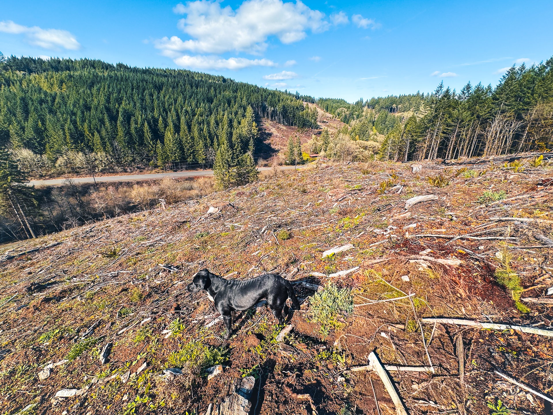 Sharewater Homesite