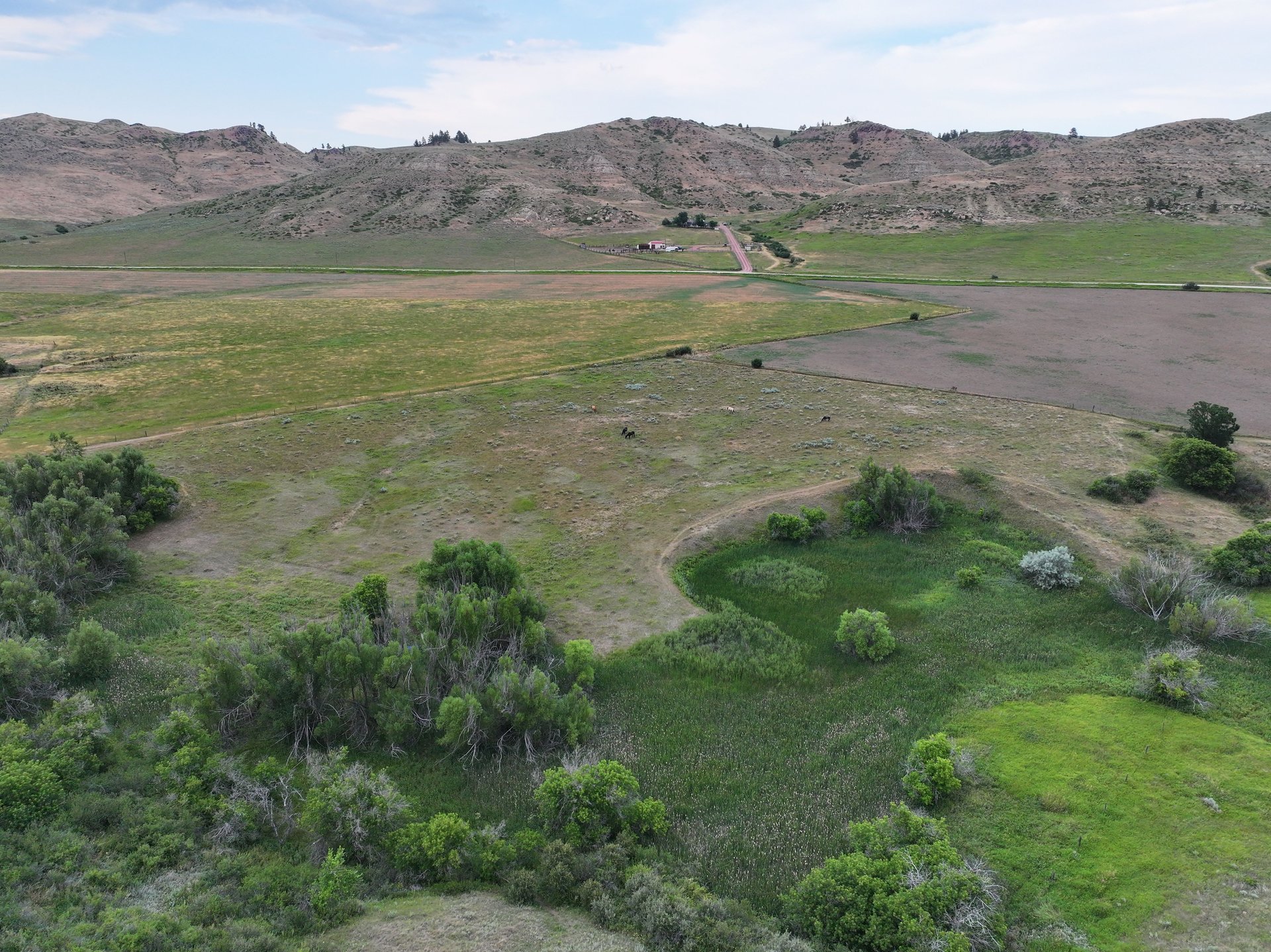 Dutch Creek Ranch 