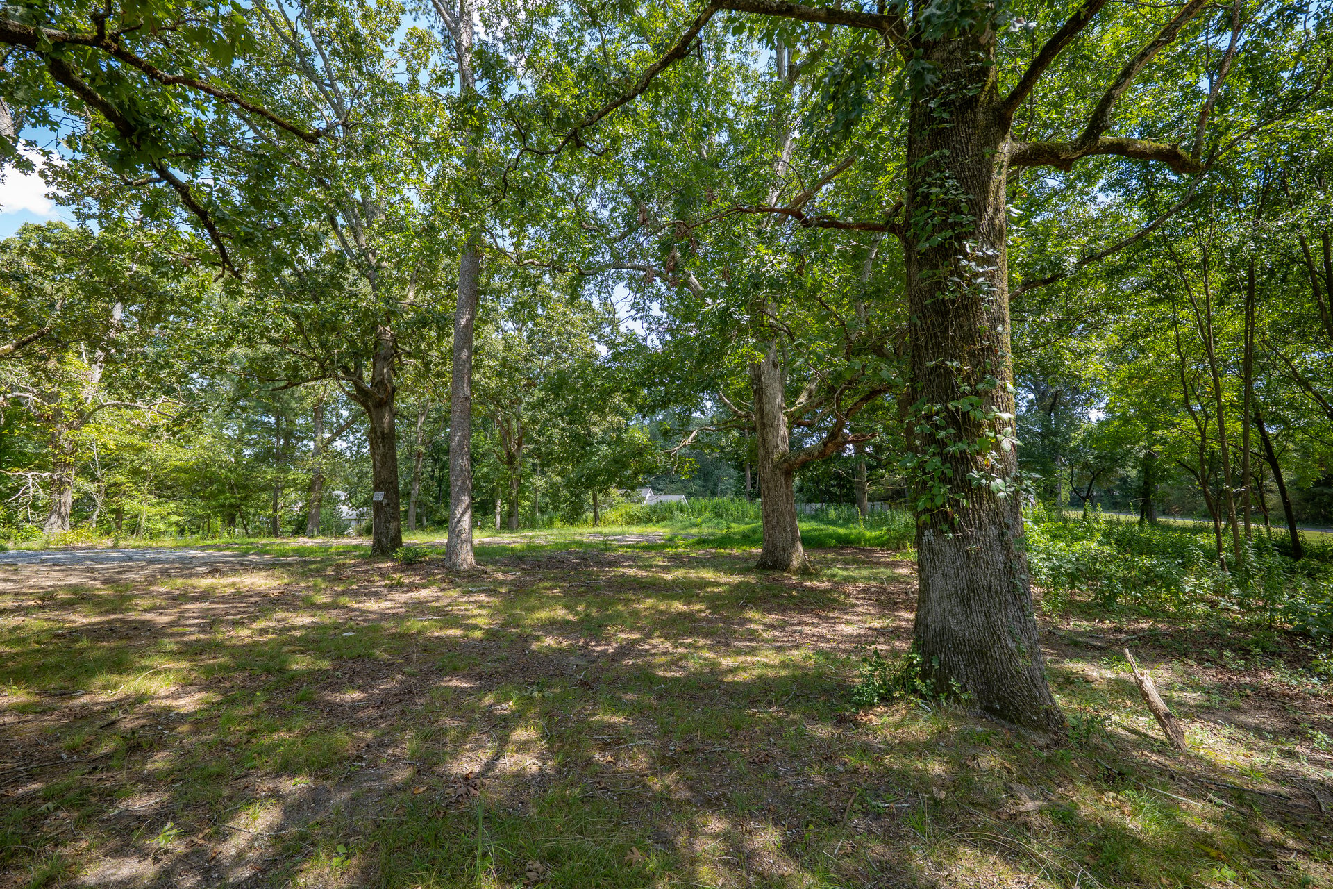 4521 Shiloh Road