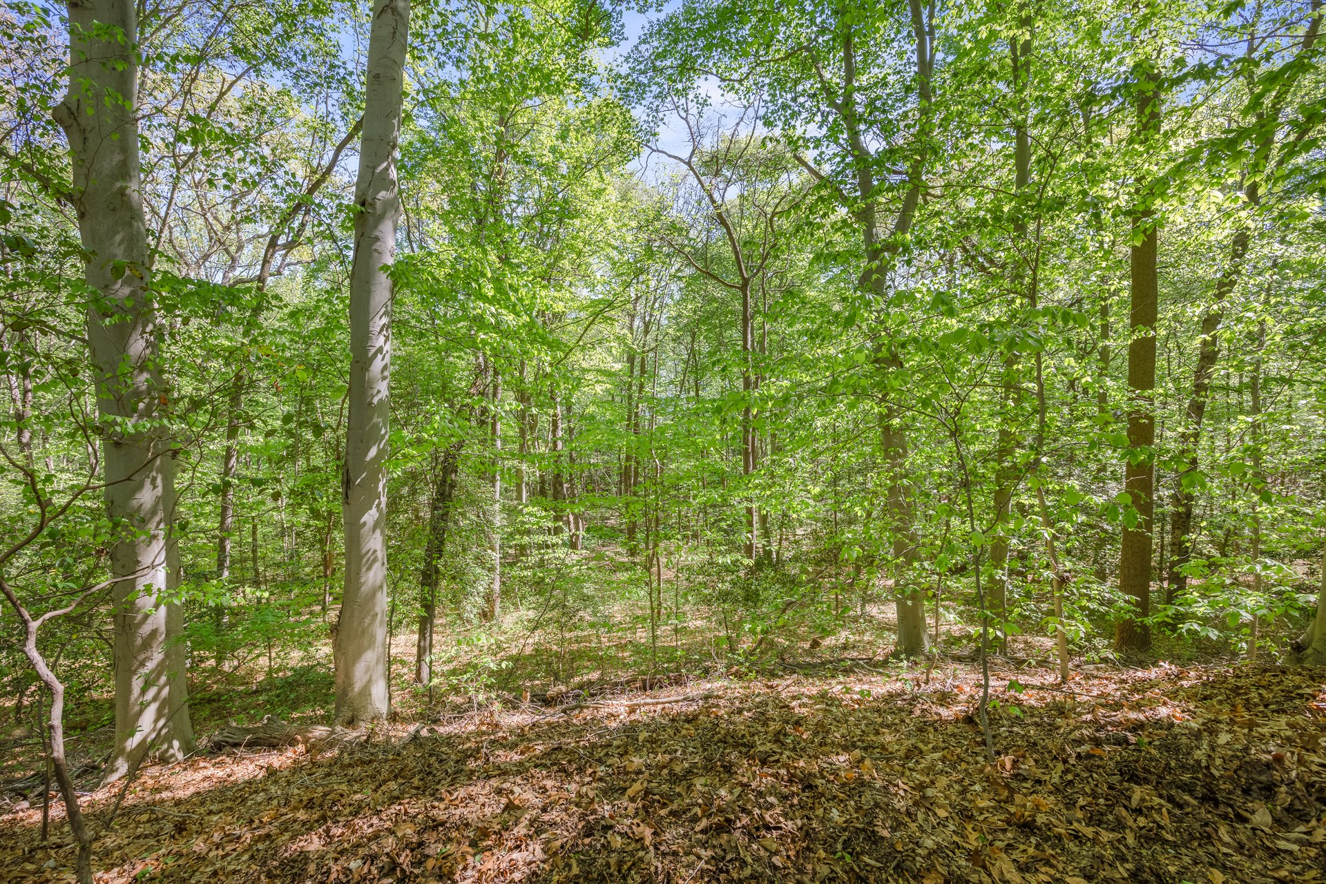 141 Rabbit Run Rd