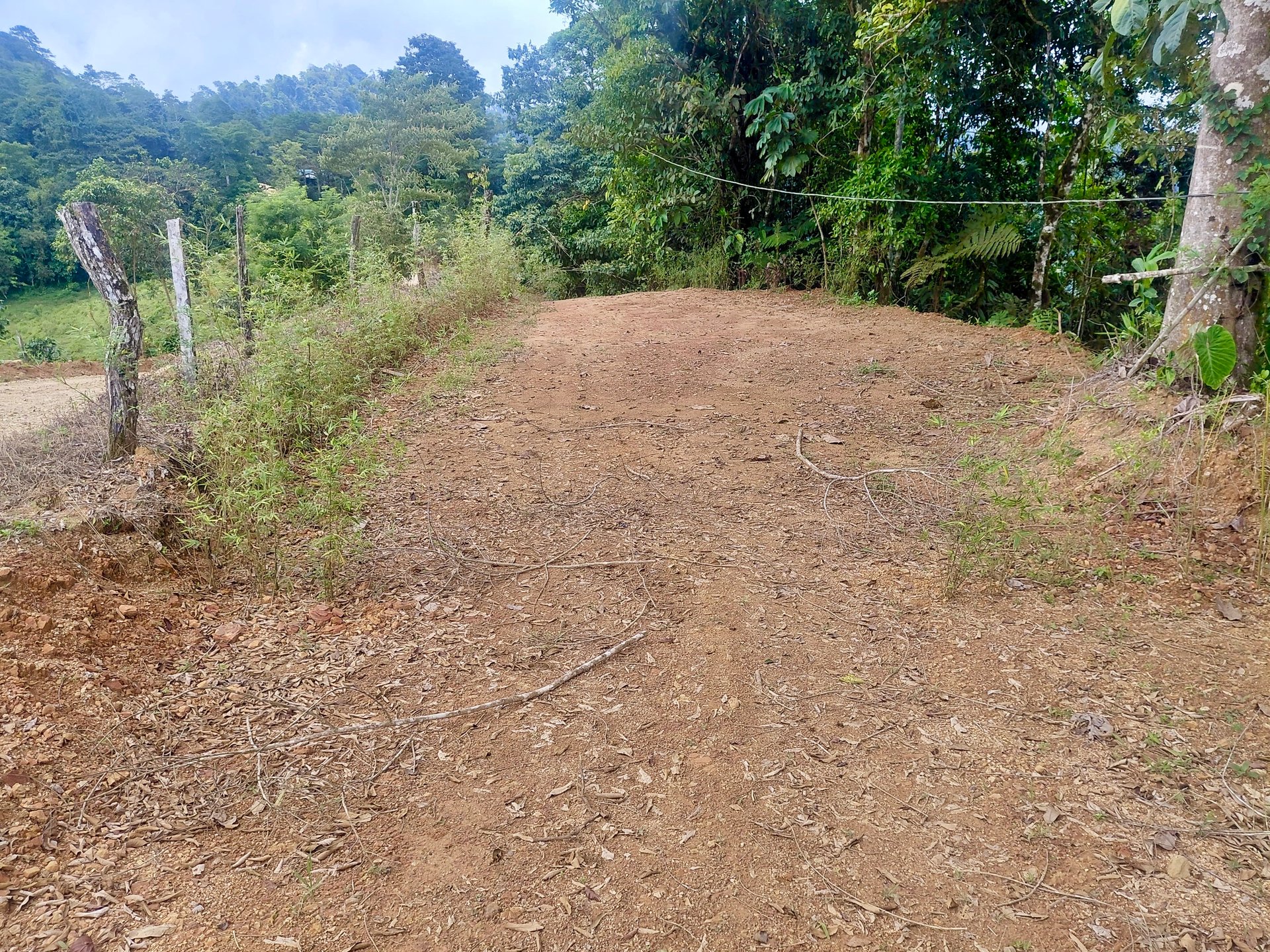 Motivated Seller | Ocean View Lot in San Luis de Morete, Uvita