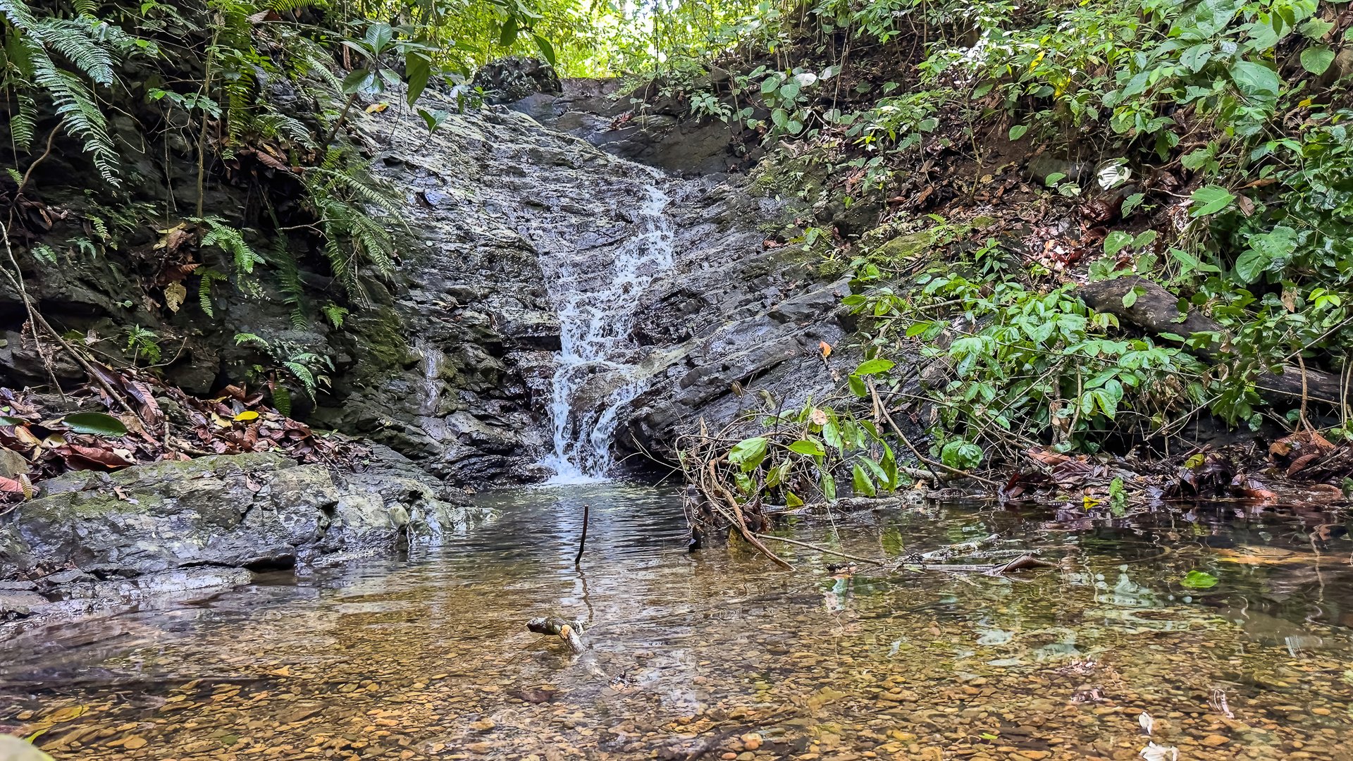60+ Hectares in Platanillo | Own Your Own Mountain in Costa Rica