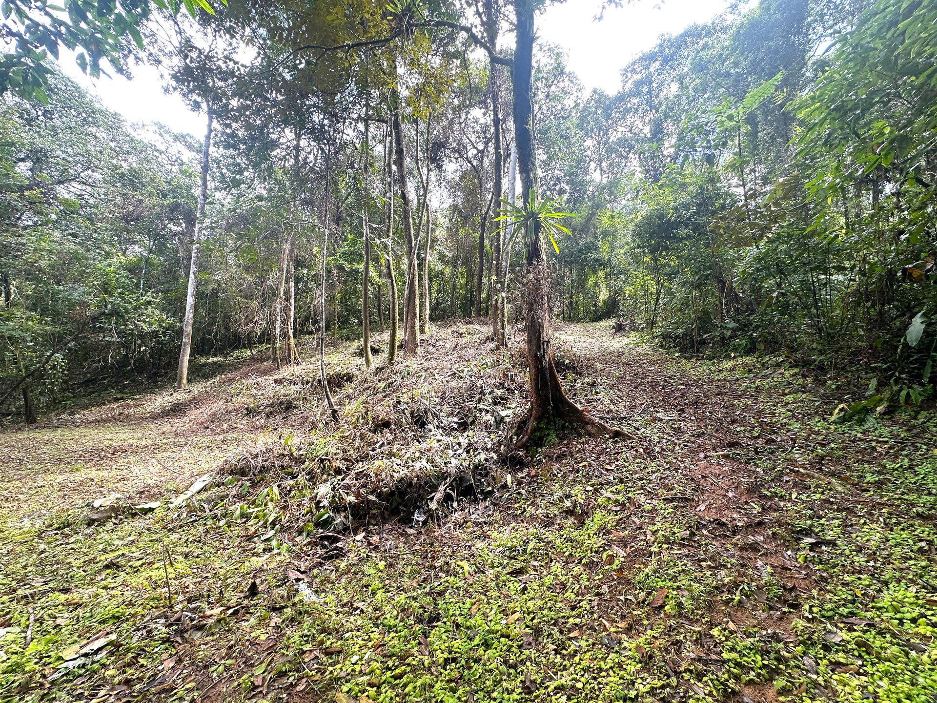 Mountain View Building Lot in Prestigious Gated Community With Private Waterfall & Two Building Sites