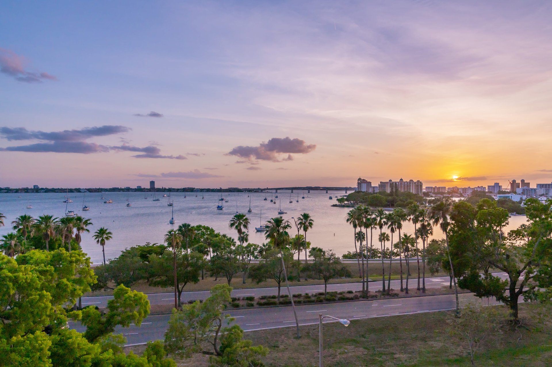 624 Palm