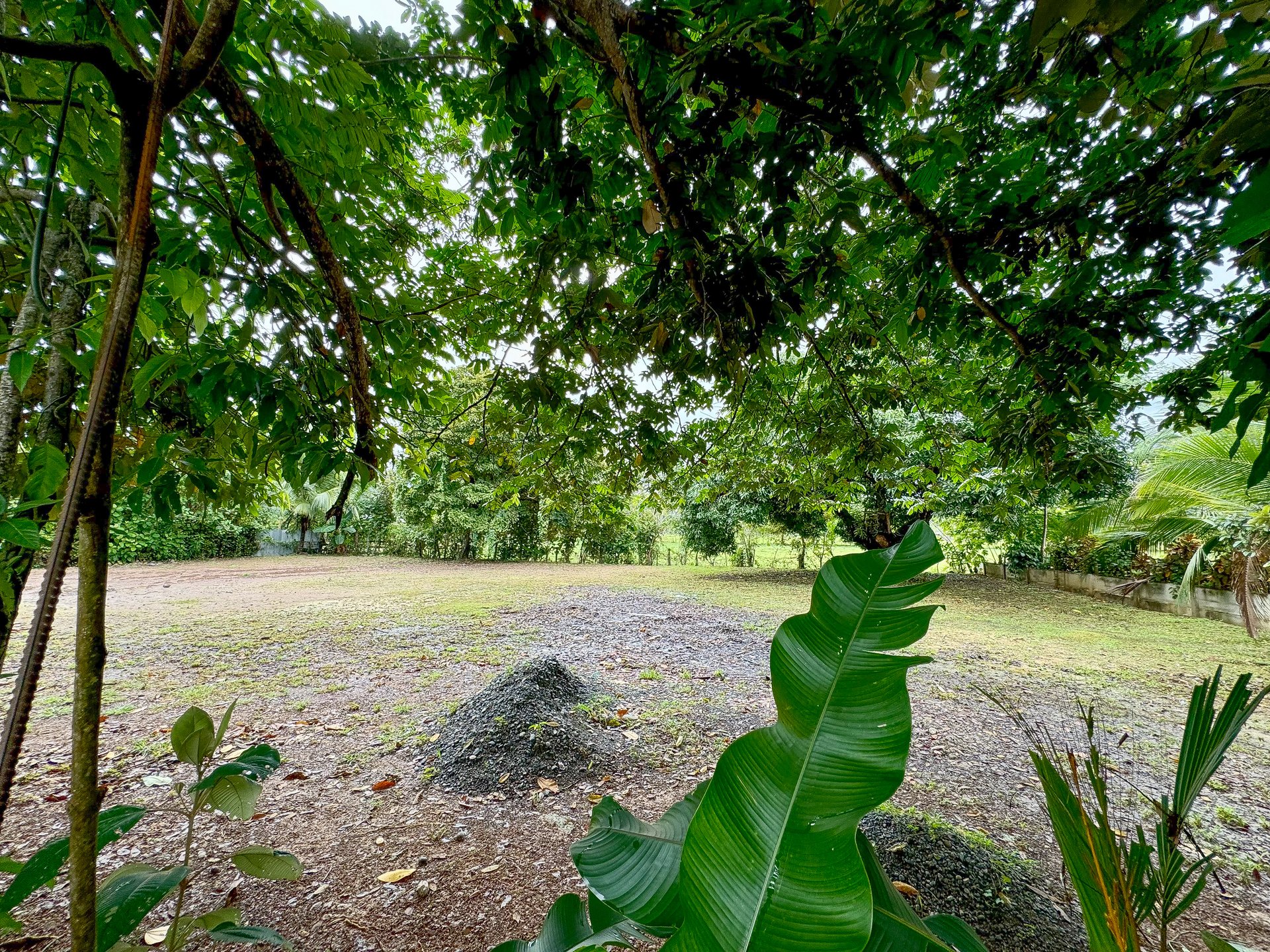 Contemporary 3-bed home surrounded by Uvita’s services and amenities but just a short stroll to tropical beaches