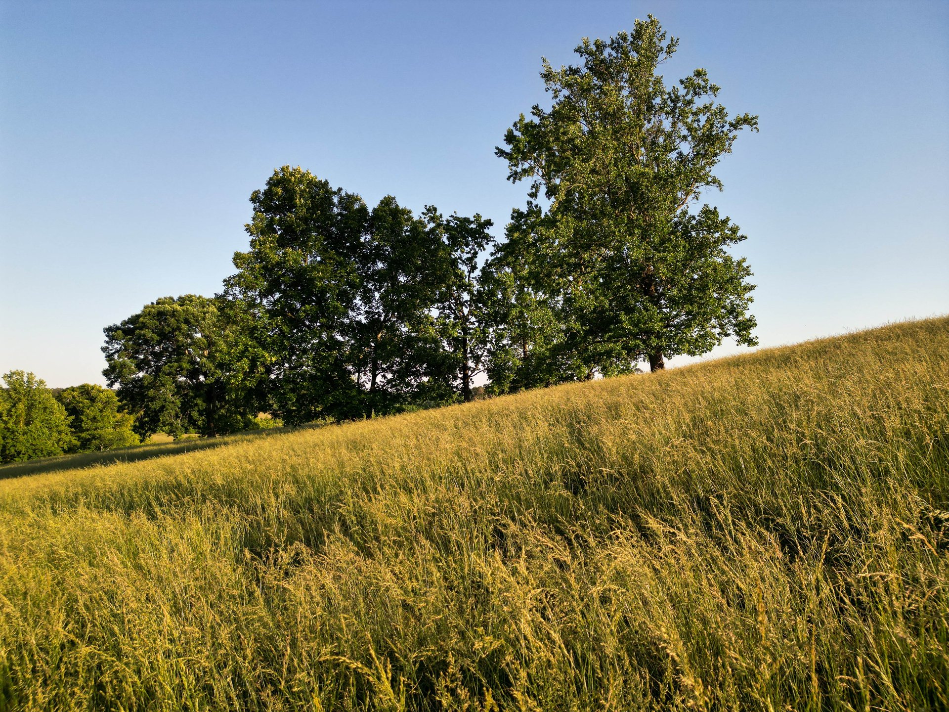 The Ranches at Sandy Creek