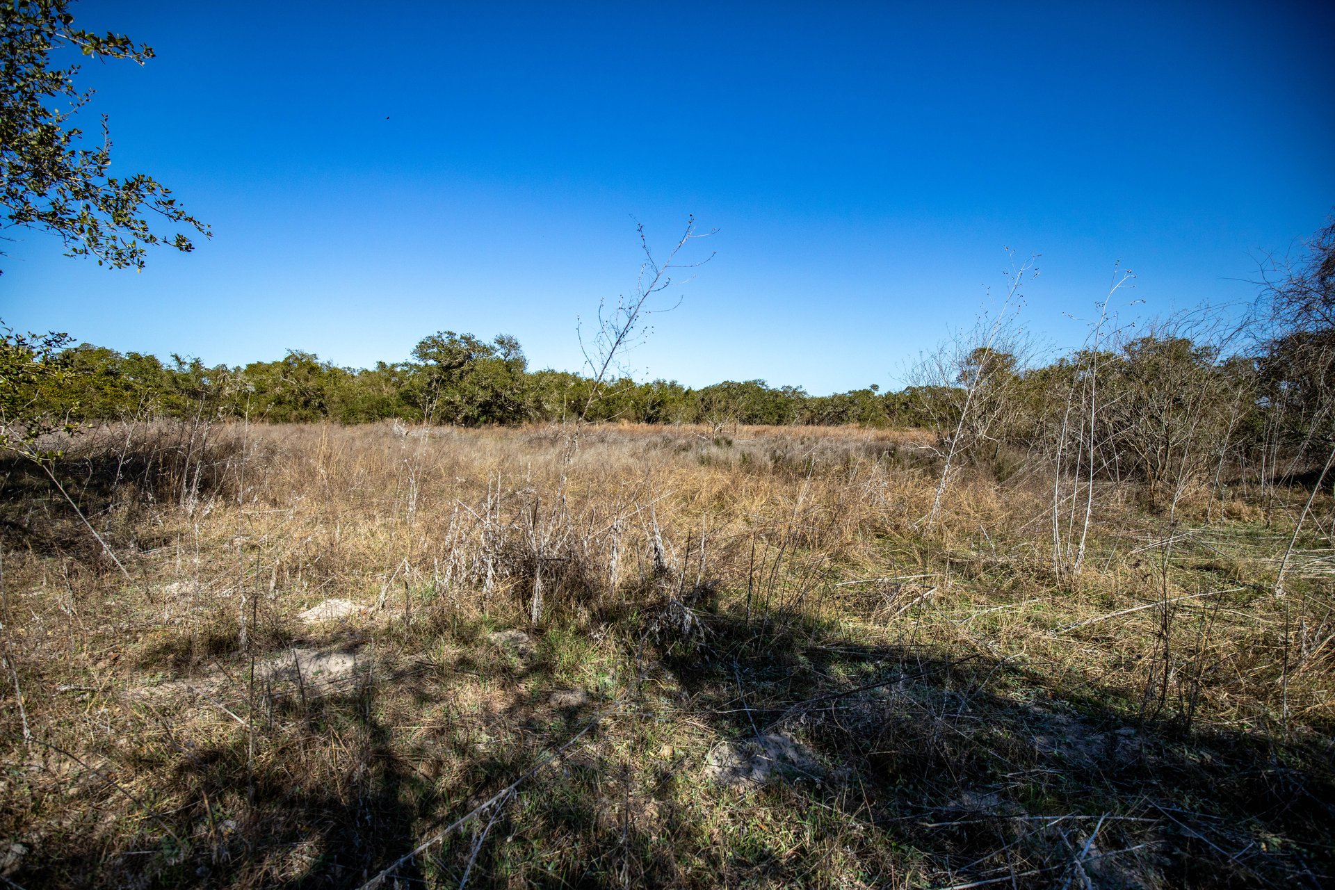 Lamar Peninsula Development Tract |  51.81± Acres | Aransas County