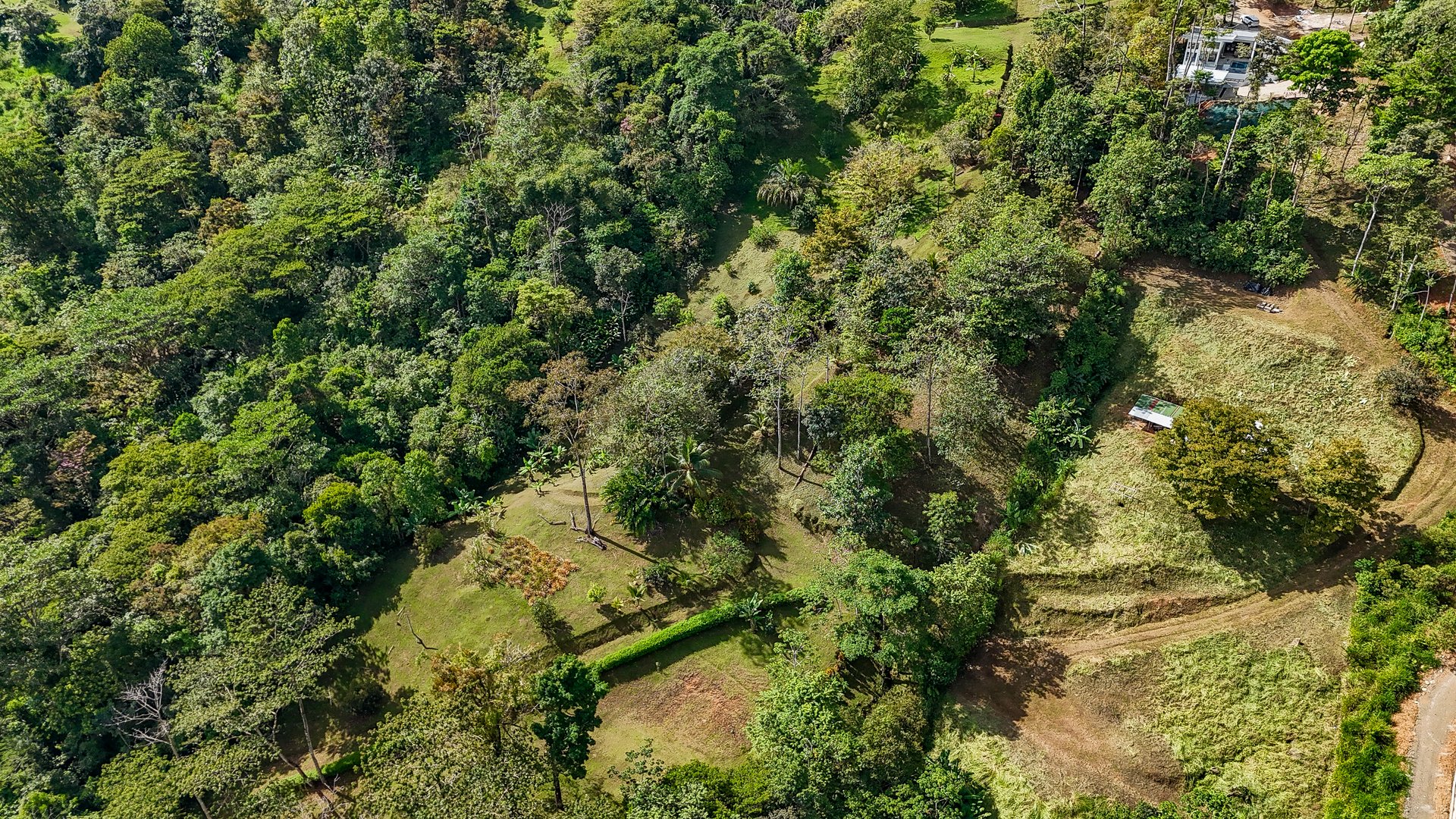 Jungle, Mountain & Valley View Lot with Two Large Plantels, Bordering a Crystal Mountain River with Swimholes & a Waterfall