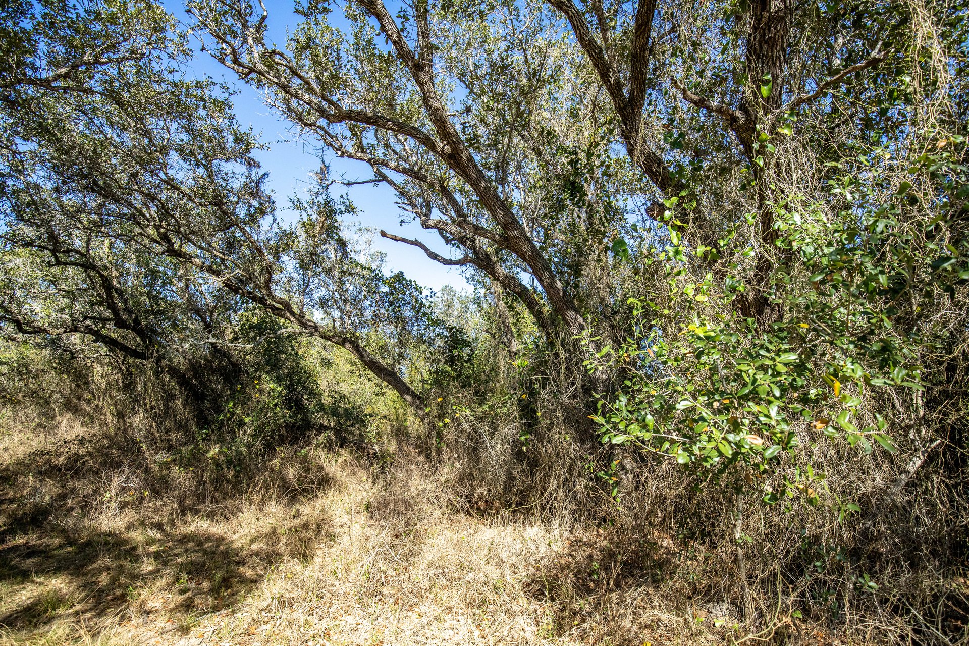 Lamar Peninsula Development Tract |  51.81± Acres | Aransas County