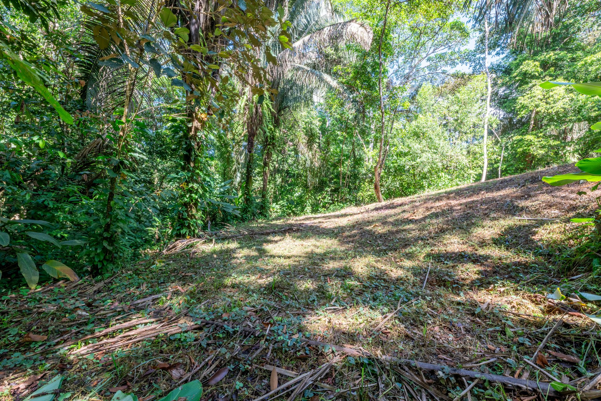 Surfers Paradise! Two Usable Lots for Building in Playa Hermosa Near Uvita!!