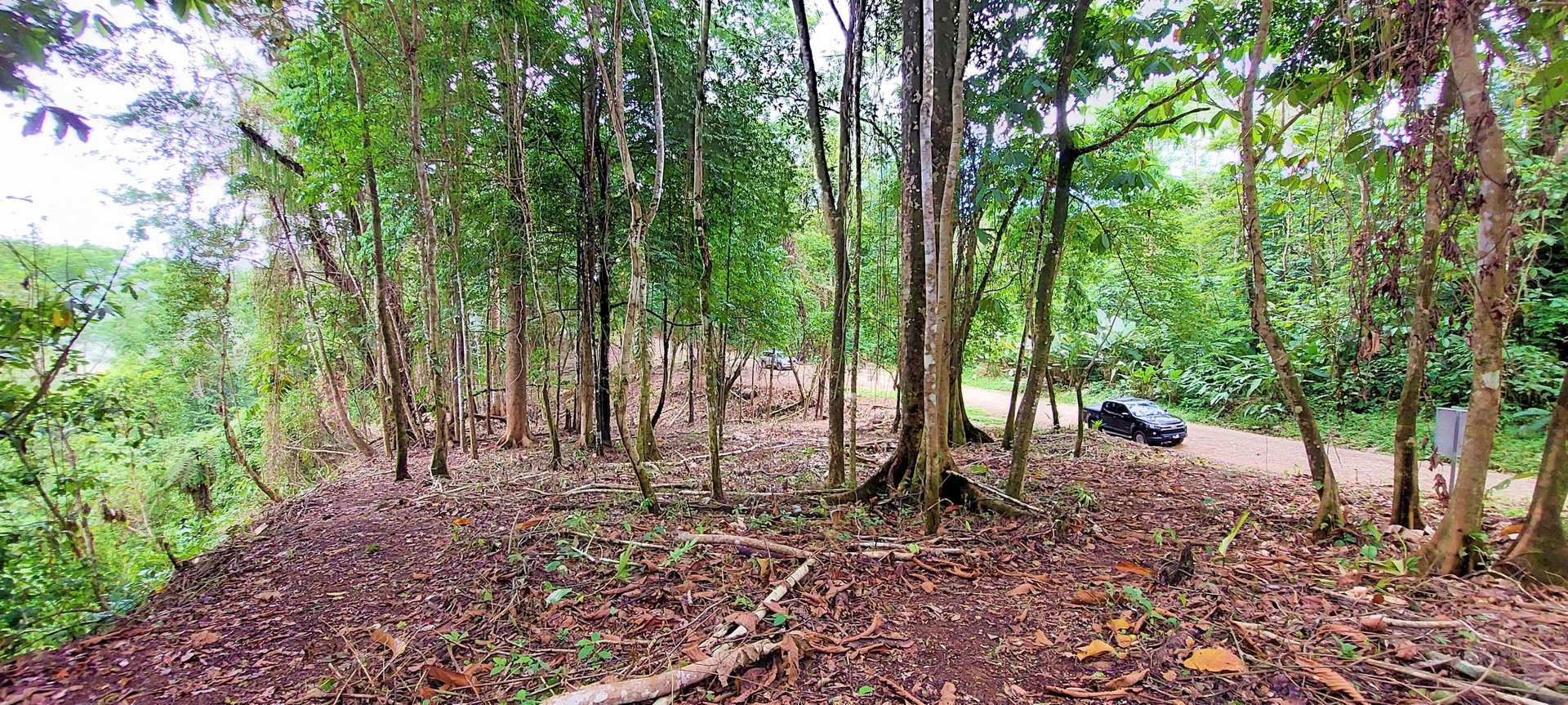 3.5 Acres of Paradise In Uvita, Jungle View!