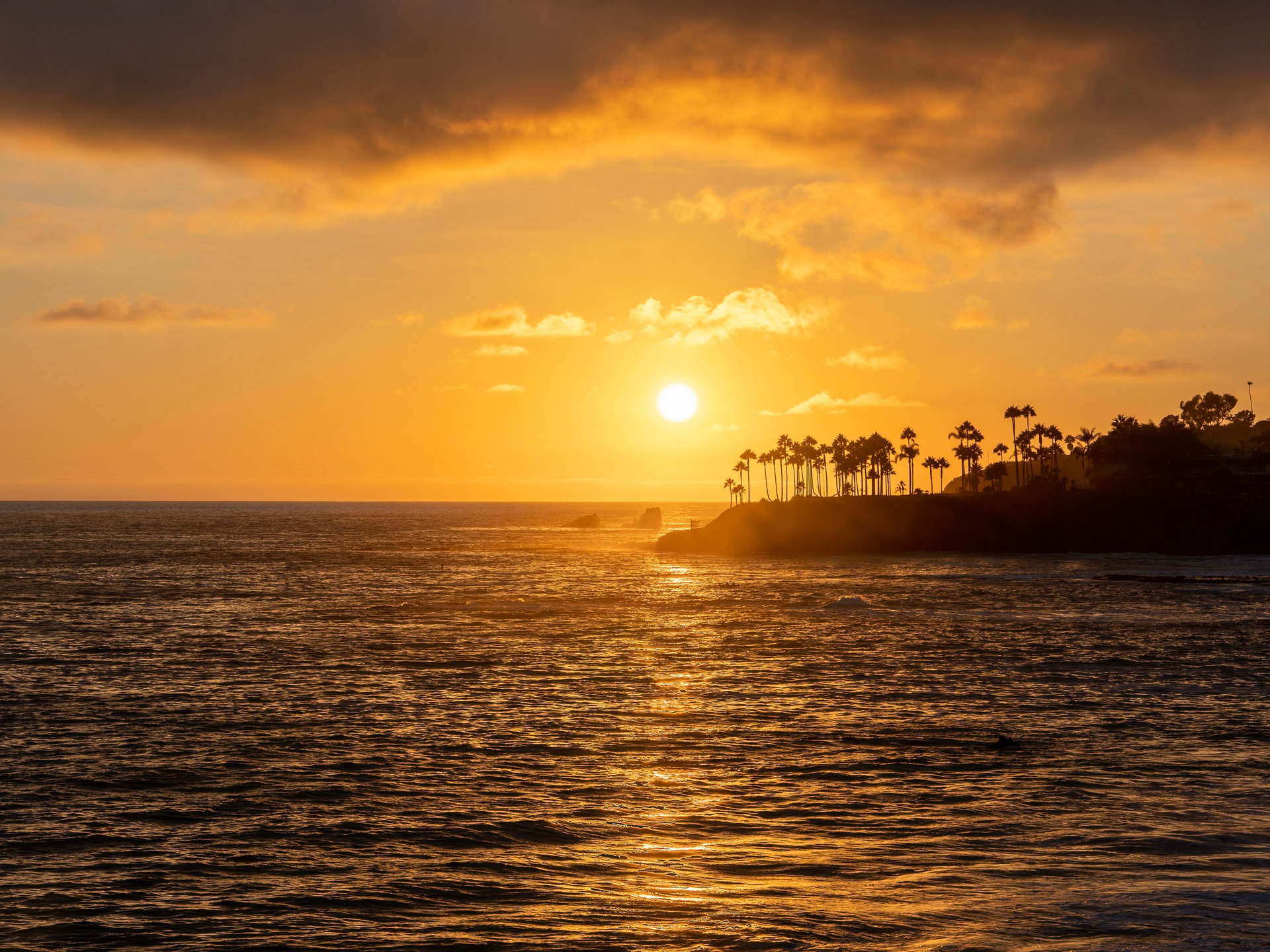 Santa Barbara coastline at sunset, with palm trees silhouetted along the shore.