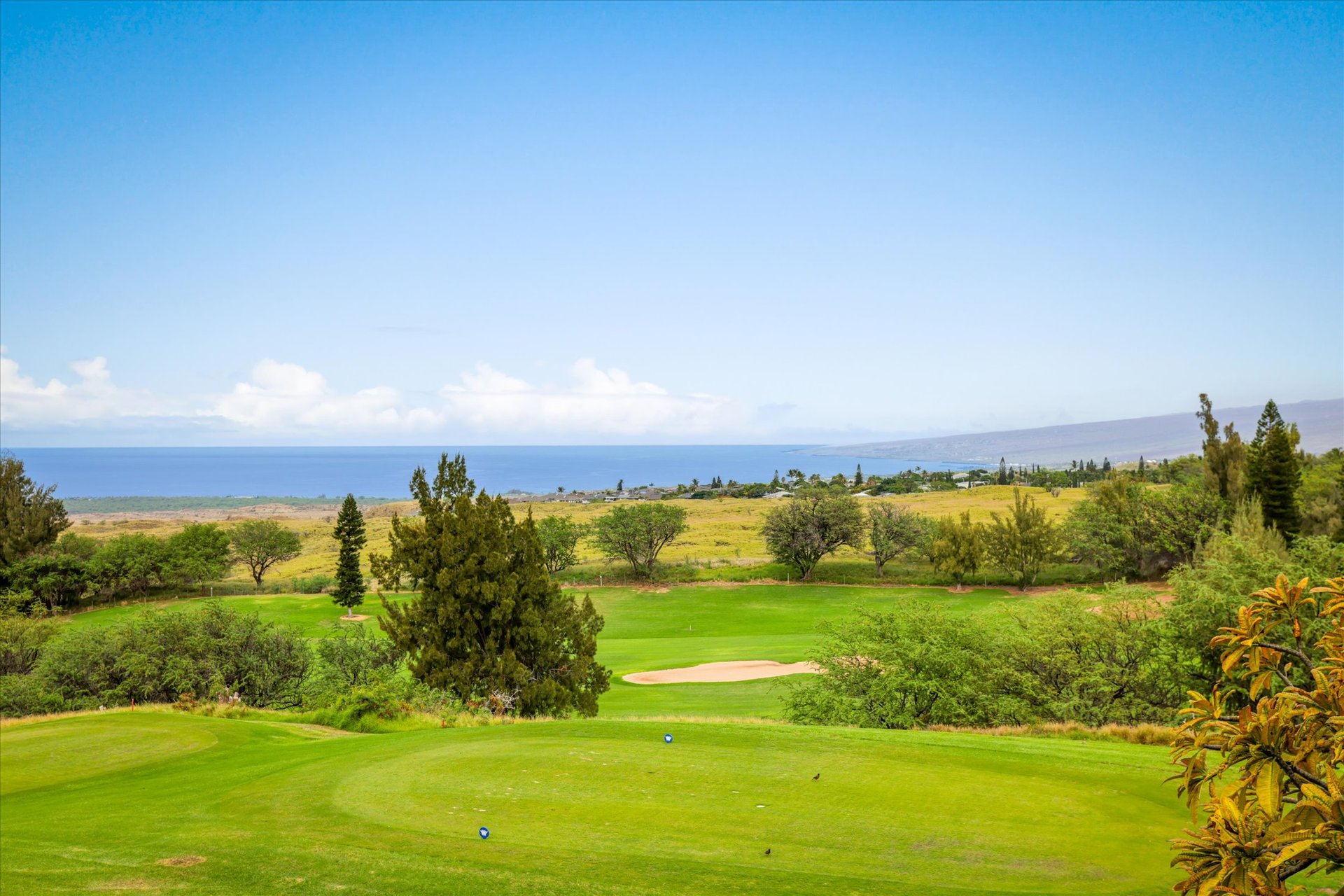 Waikoloa Village Condominiums