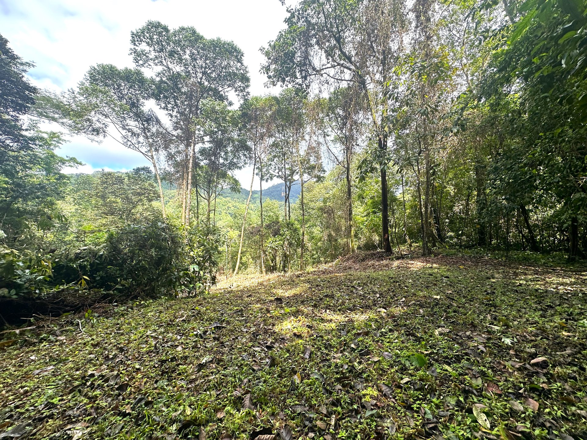 Mountain View Building Lot in Prestigious Gated Community With Private Waterfall & Two Building Sites