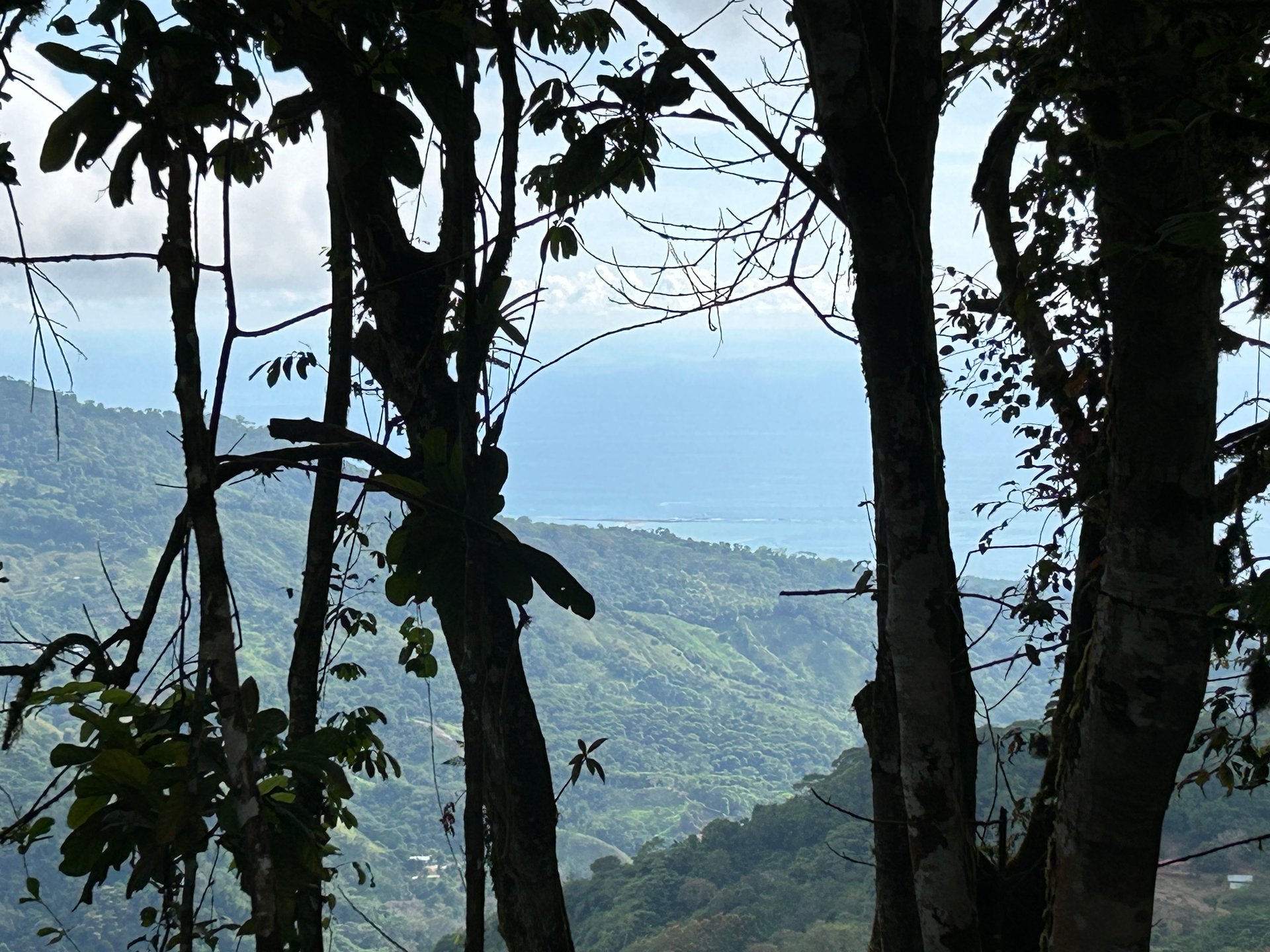 Motivated Seller | Ocean View Lot in San Luis de Morete, Uvita