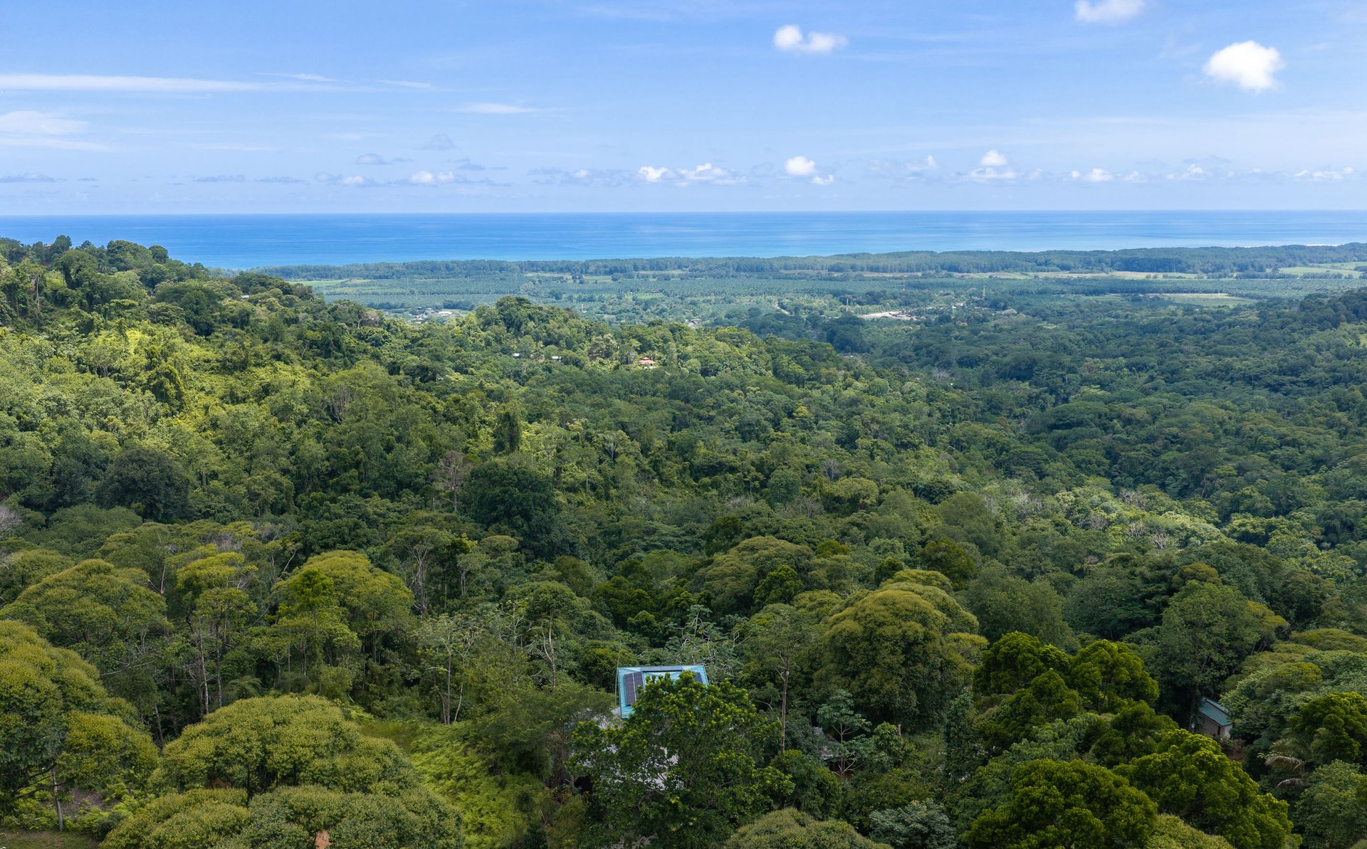 Luxury Ocean View Homestead | A Self-Sufficient Tropical Estate