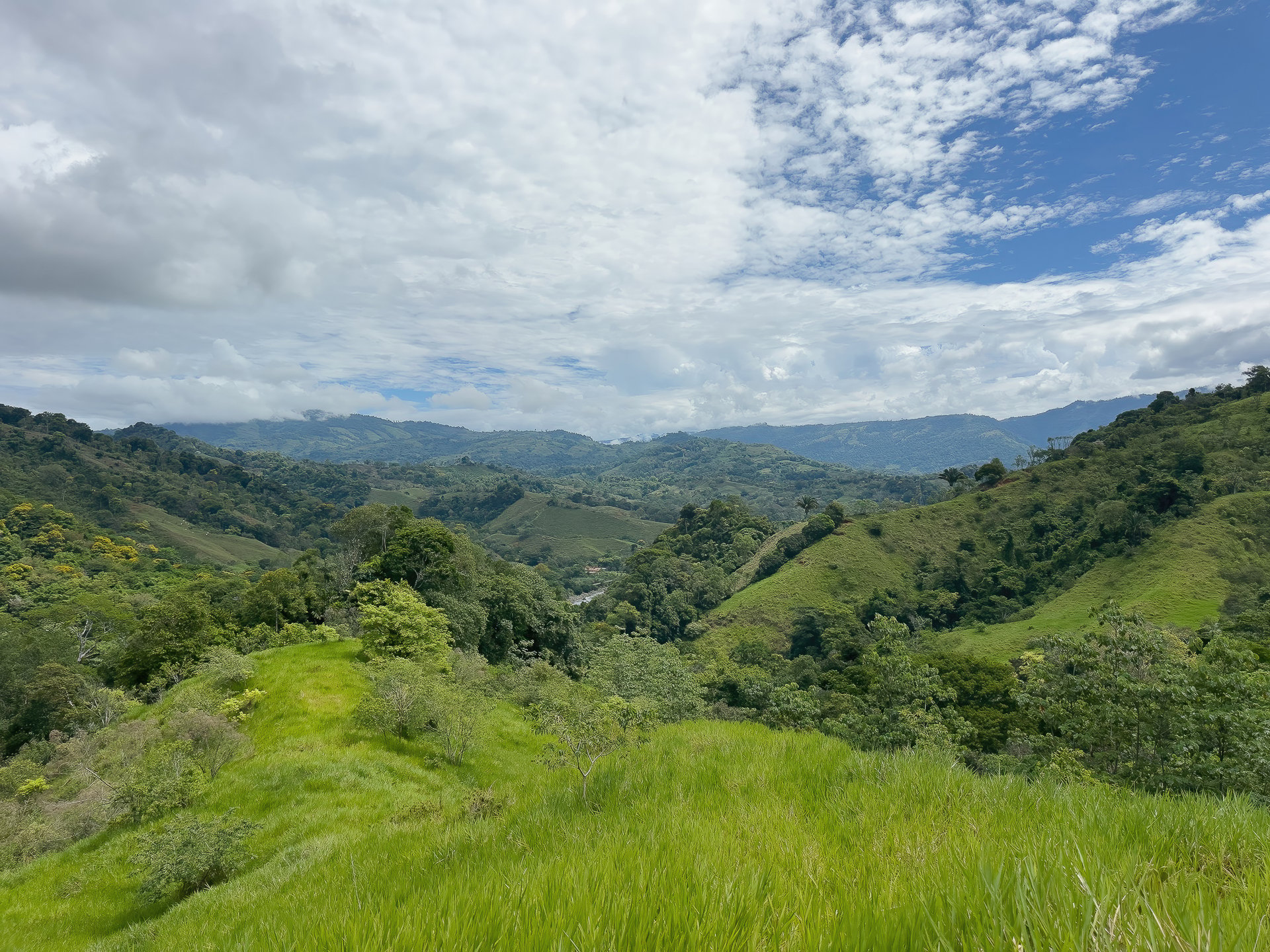 60+ Hectares in Platanillo | Own Your Own Mountain in Costa Rica