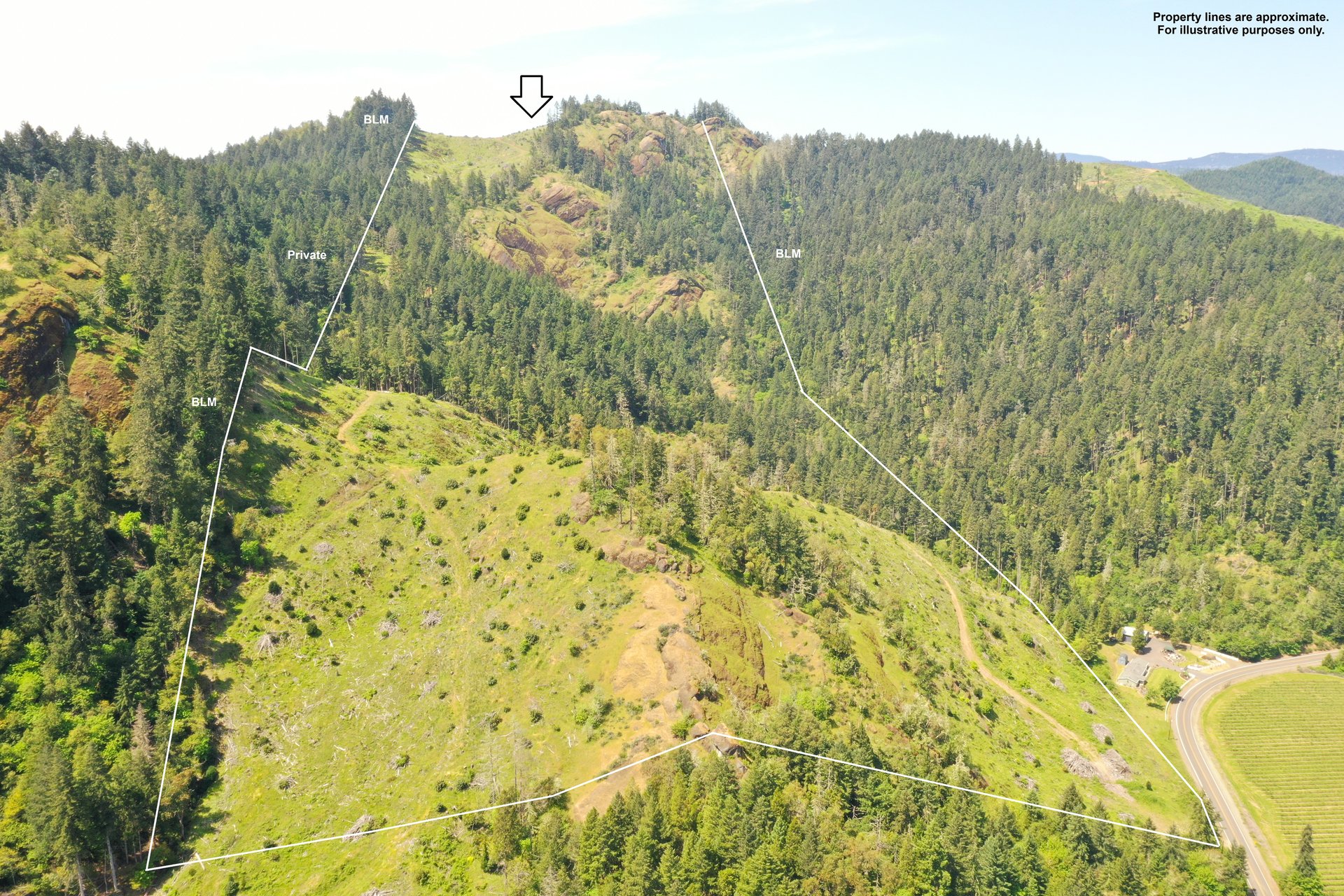 STRICKLAND BOULDER FOREST