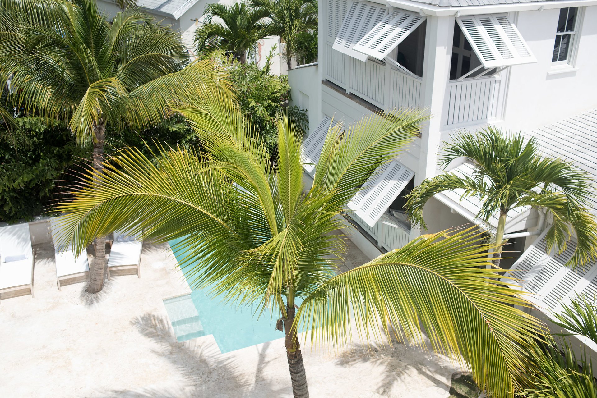 Conch Shell House