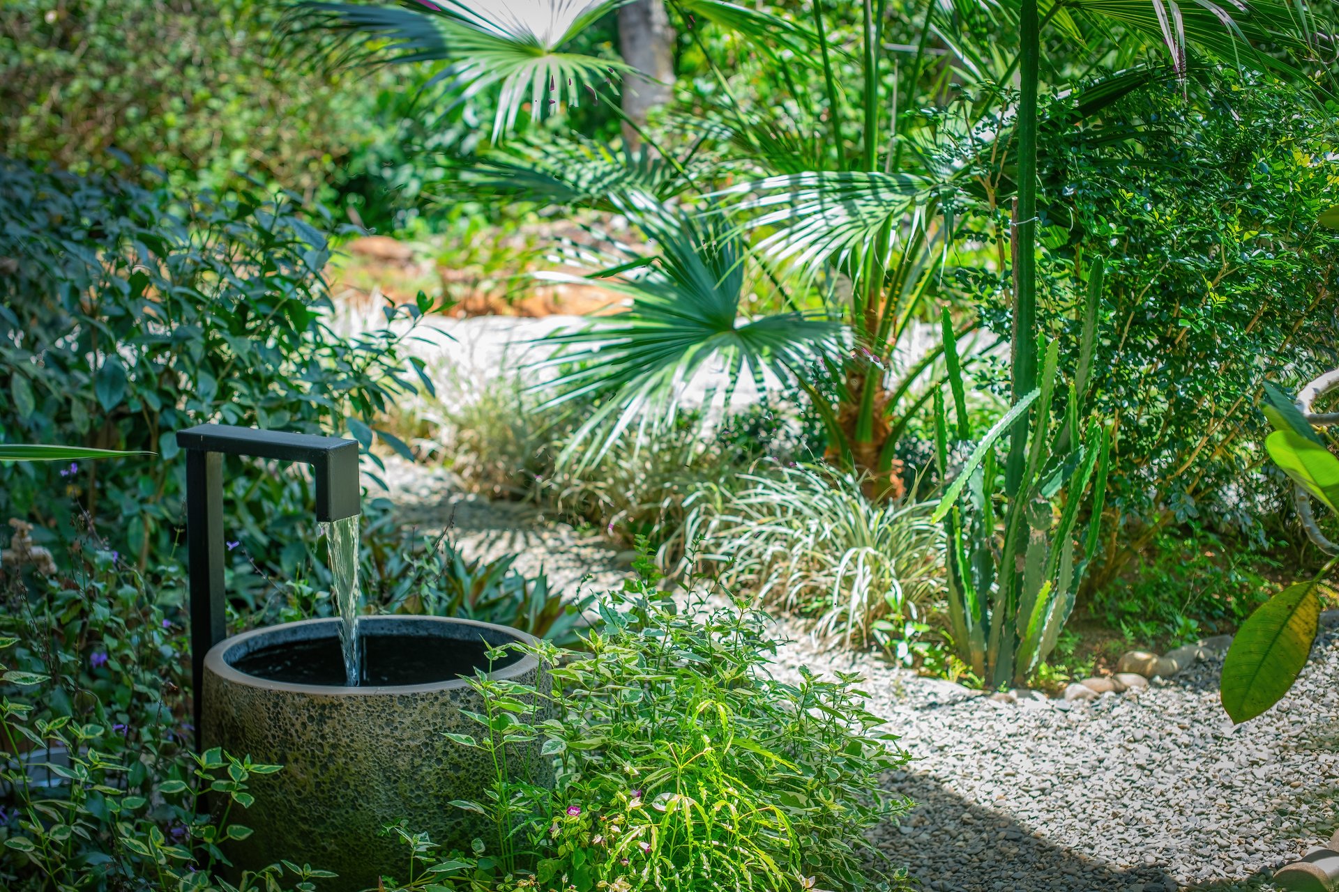 Casa Oropéndula - Modern Jungle Home for Sale Near Dominical, Costa Rica | 3BR, 2.5BA, 3.44 Acres with Creek