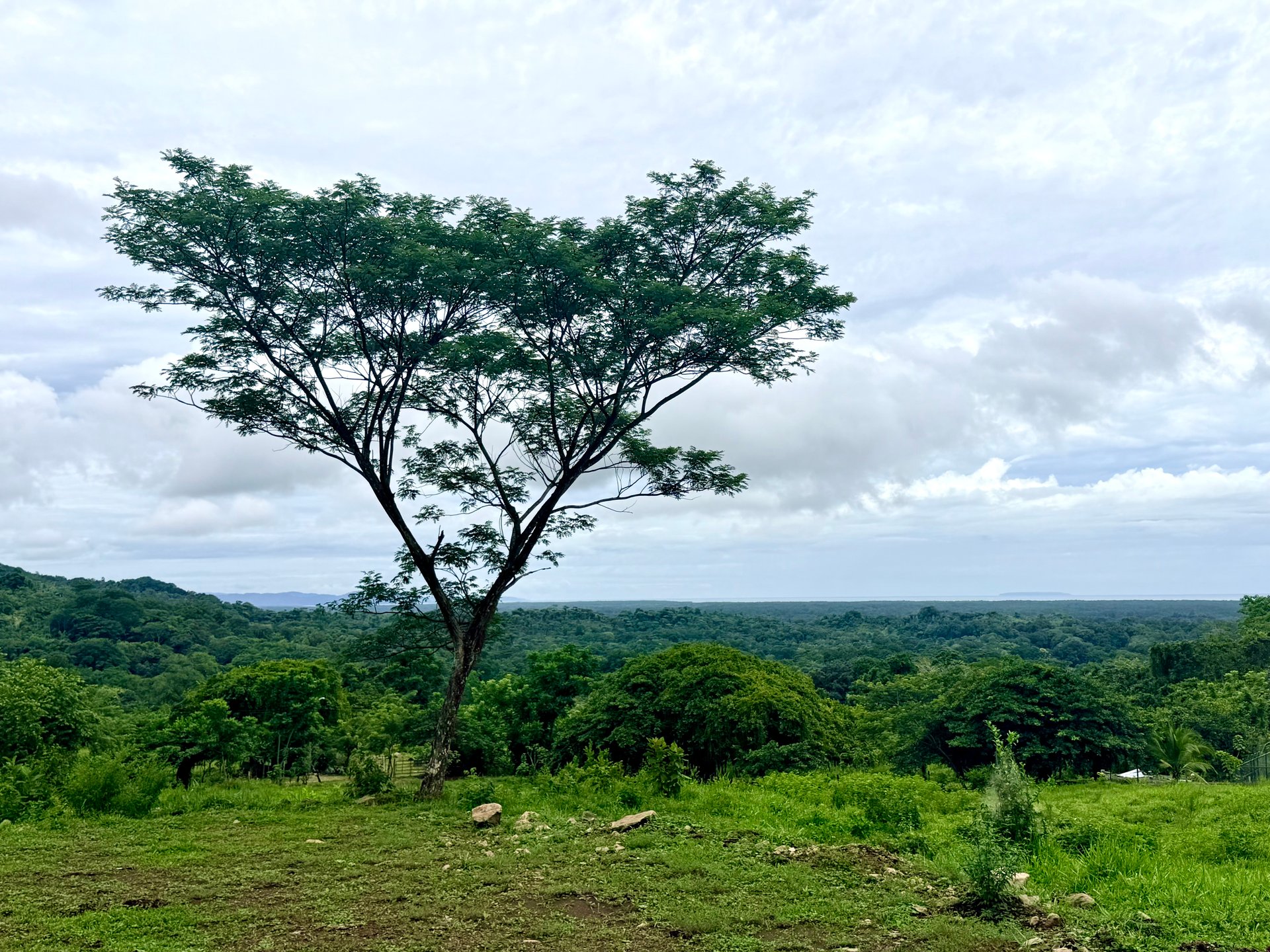 Ocean View Sanctuary in San Buenas – 4.94 Acres of Pastures & Easy Accessaccess