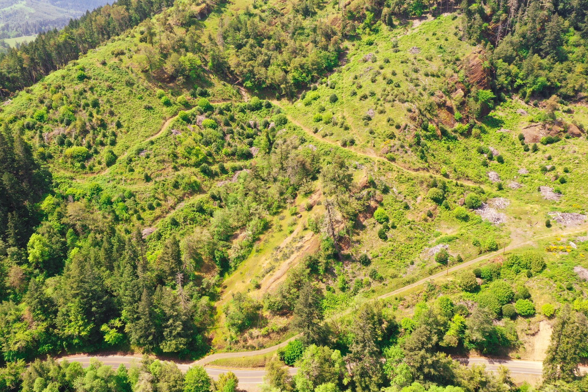 STRICKLAND CANYON HOMESITE