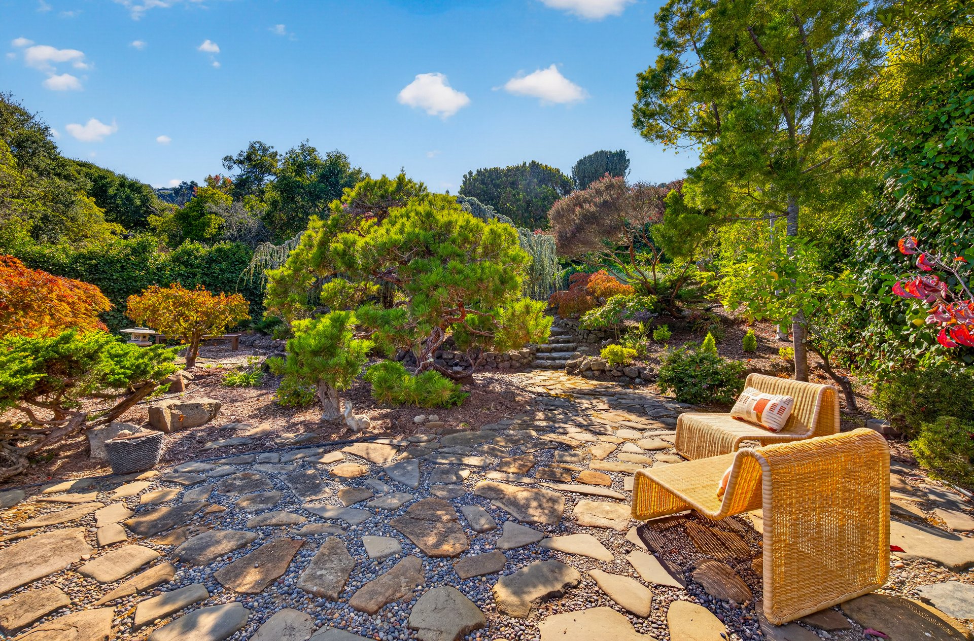 Belvedere Gem on an Incredible Lot