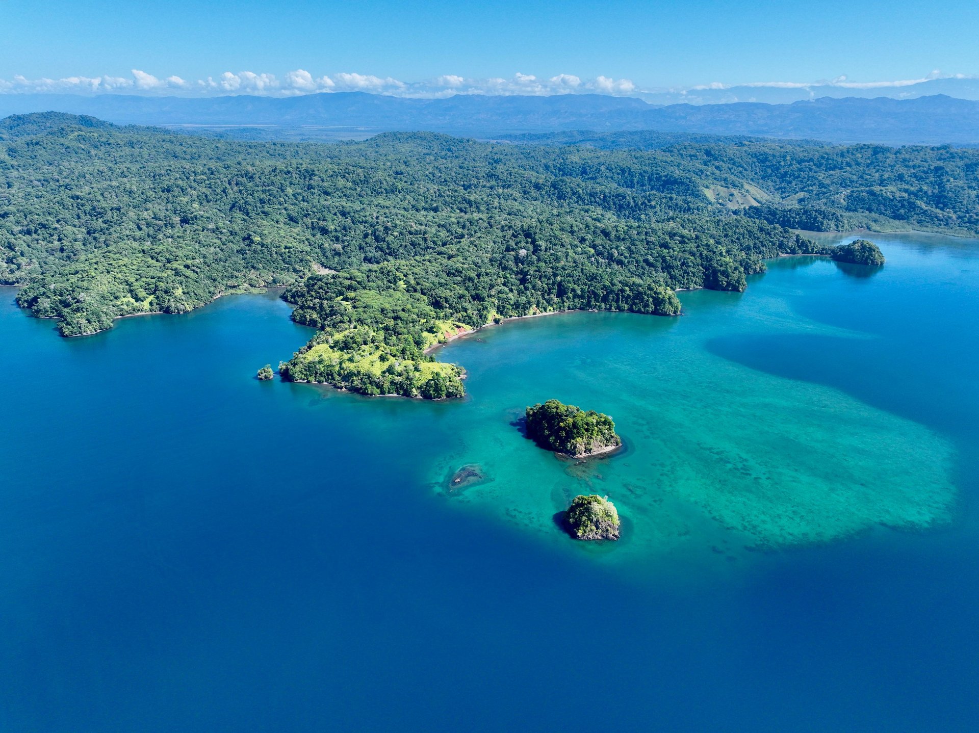 Jungle Islands — Los Mogos