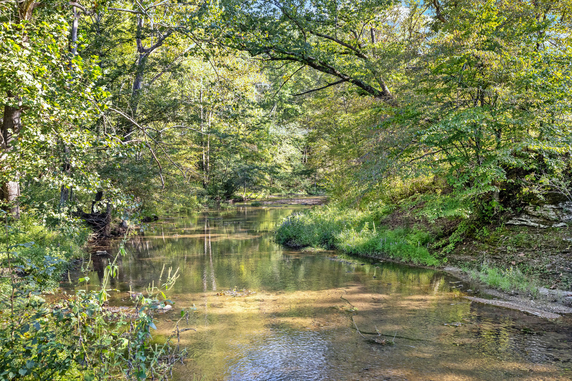8192 Shoals Branch Road