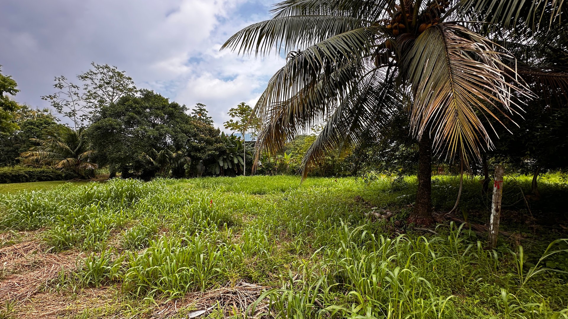 Beach Area Lot in Quiet Corner on Uvita Bahia
