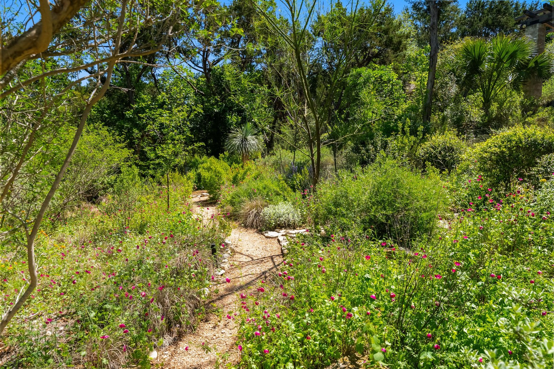 698 Windsong Trail