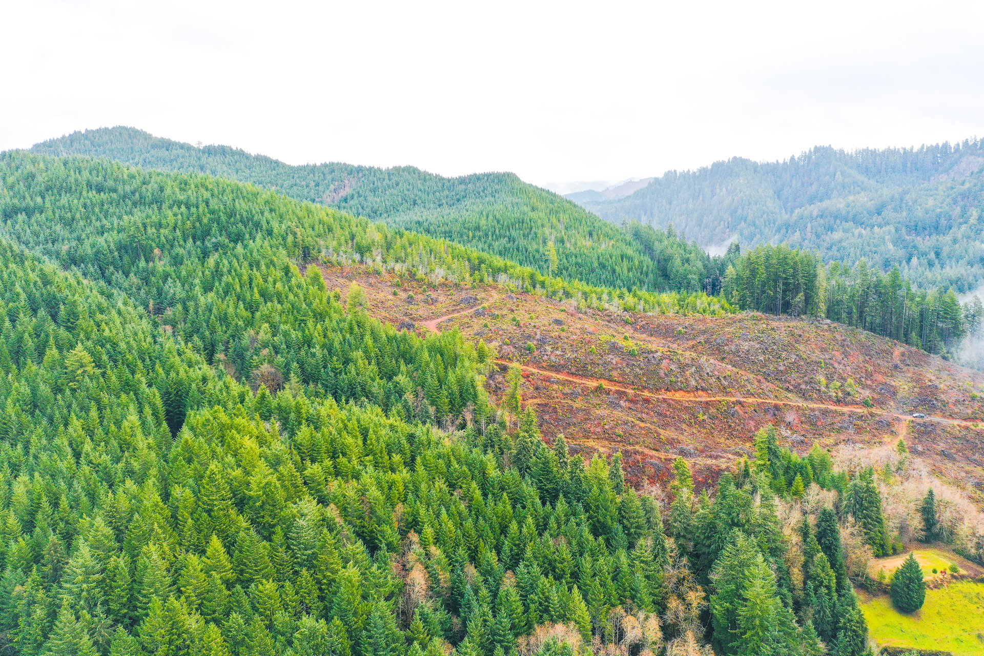 RICHARDSON TIMBER