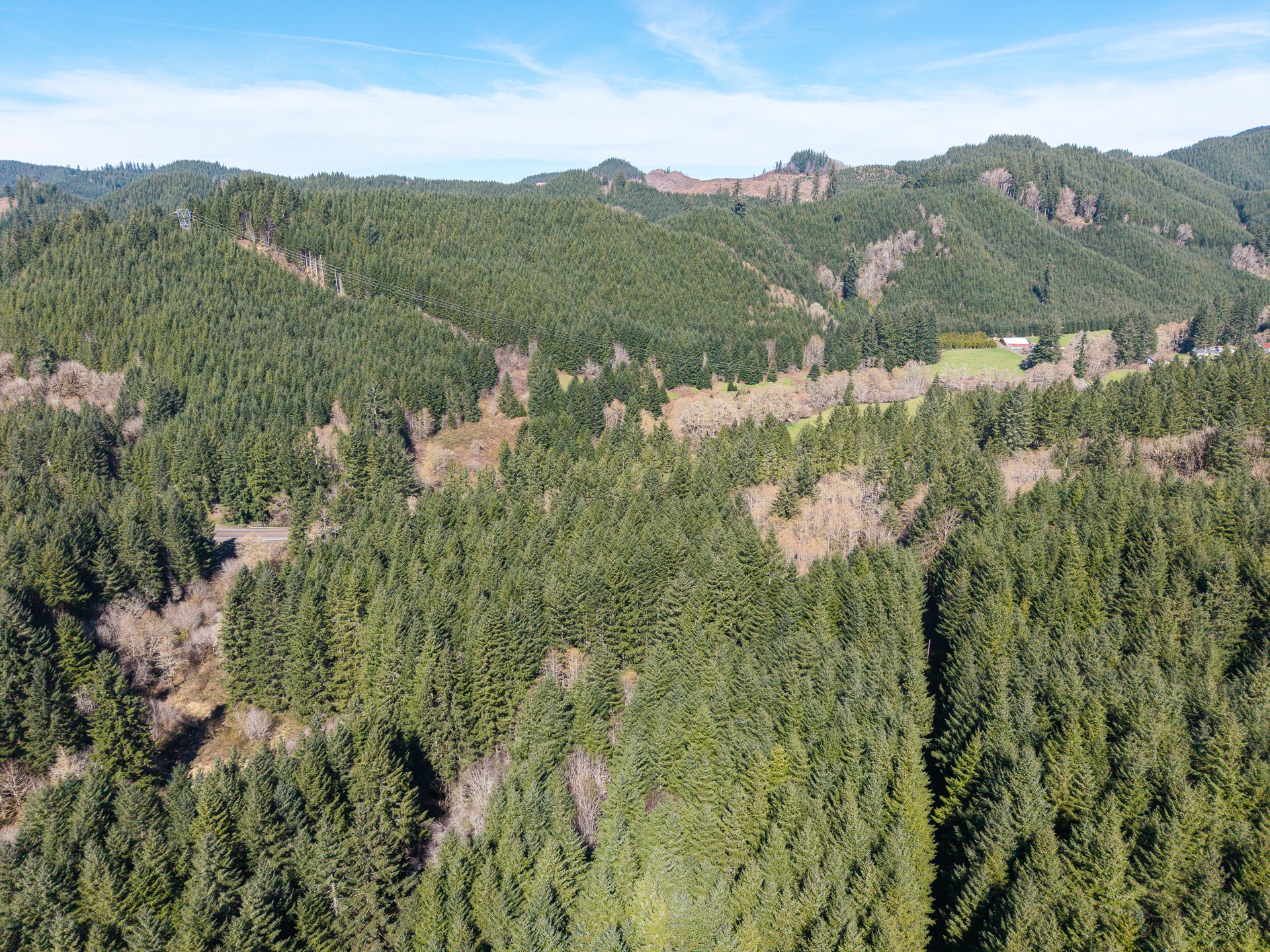 LITTLE ELK TREEFARM
