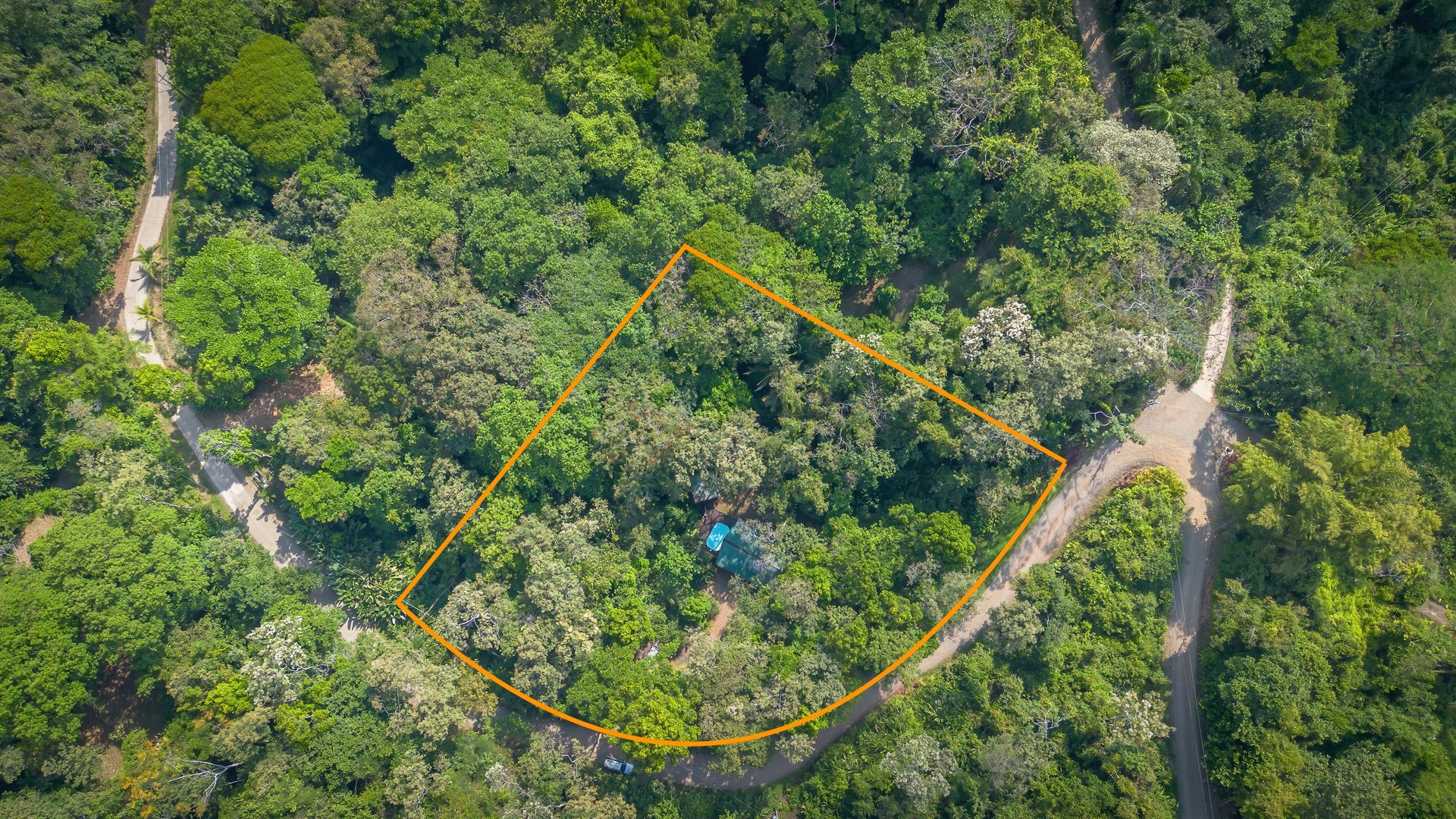 Private Jungle Oasis! 1 Bed, 1 Bath Hatillo Haven
