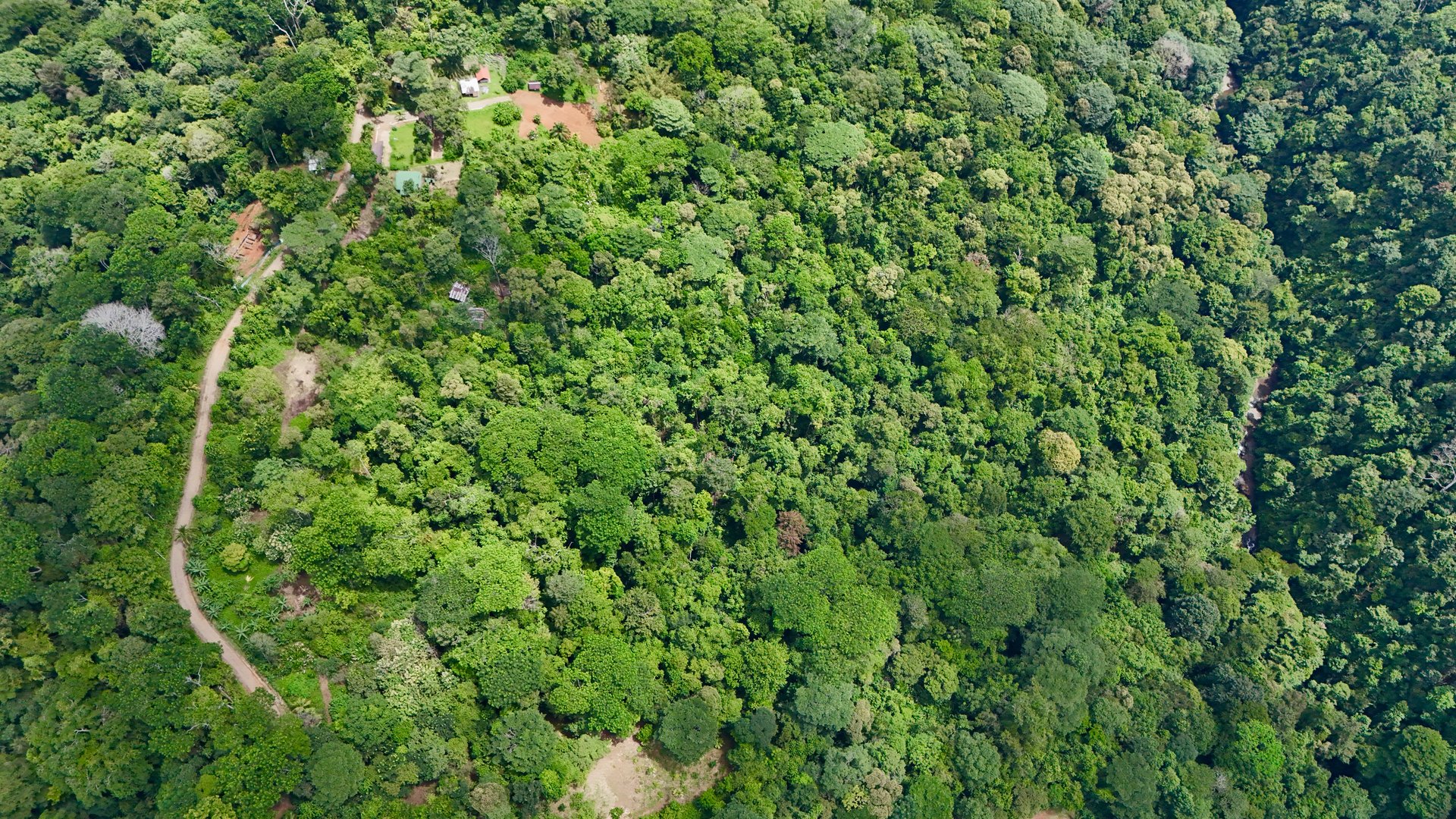 Uvita Development Farm - 45.4 Acres Estate