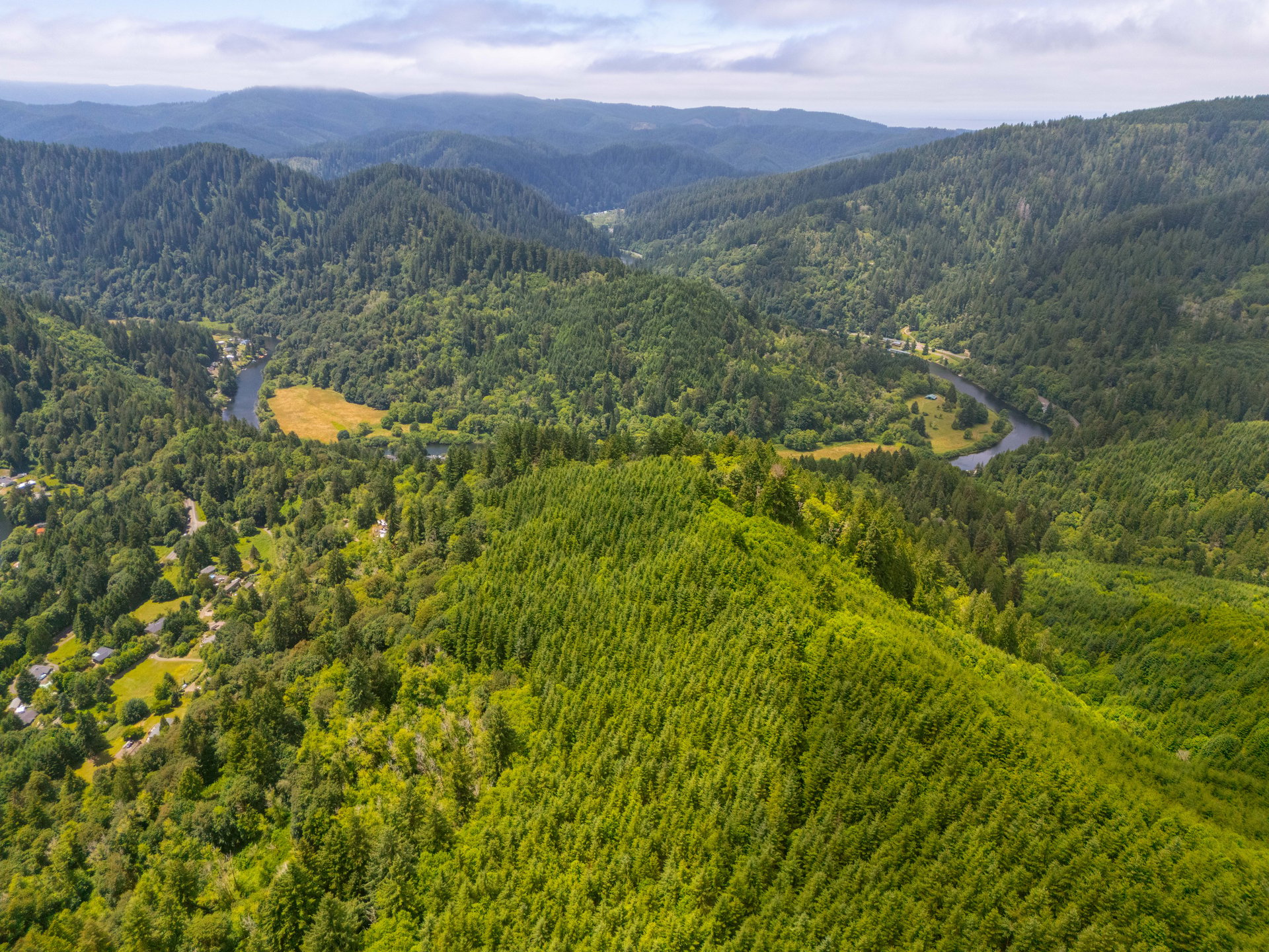 MILL CREEK FOREST
