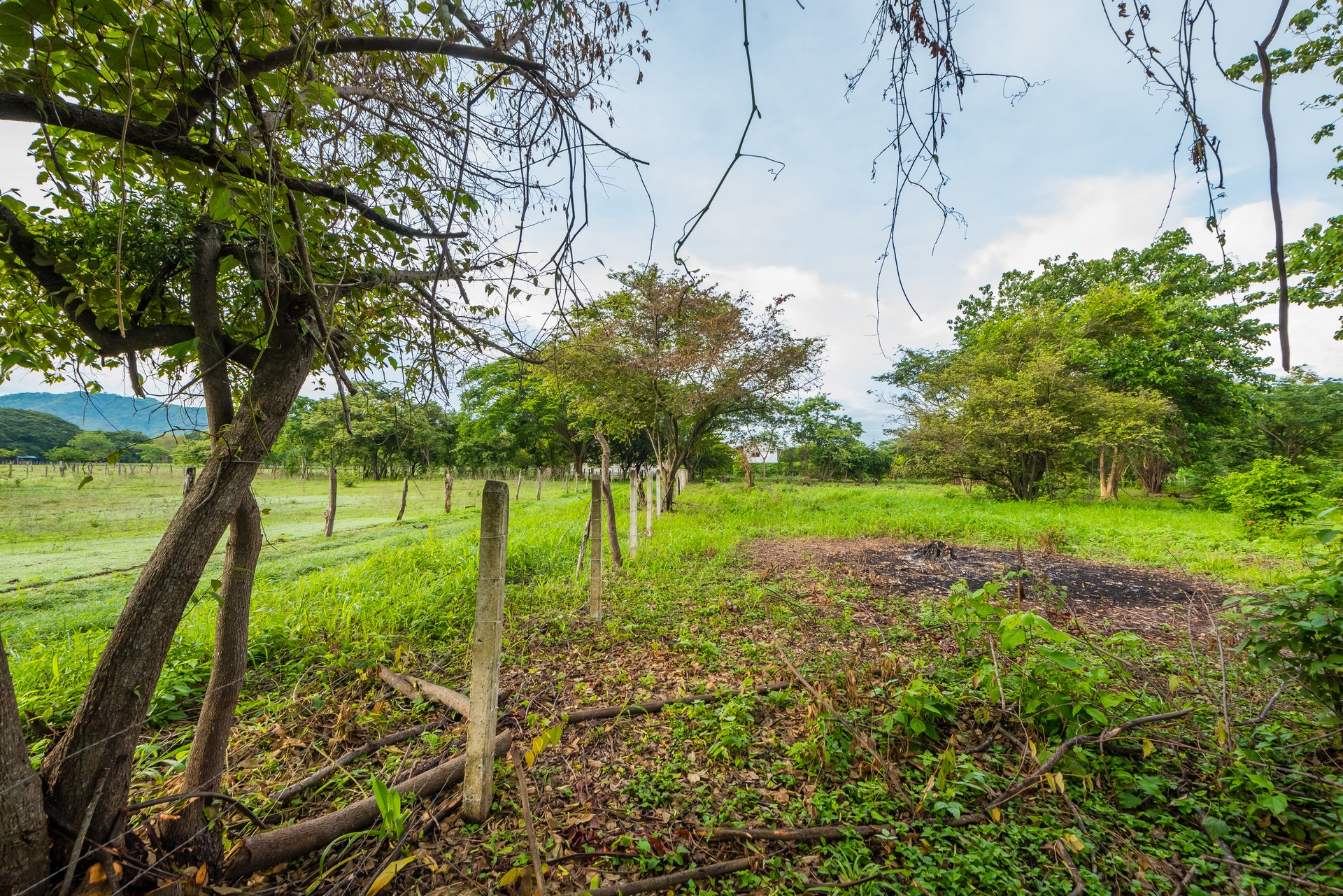 La Garita de Tamarindo Lot | 1.3-Acre Home Site Near Top Beaches, Private, Scenic, and Well-Located