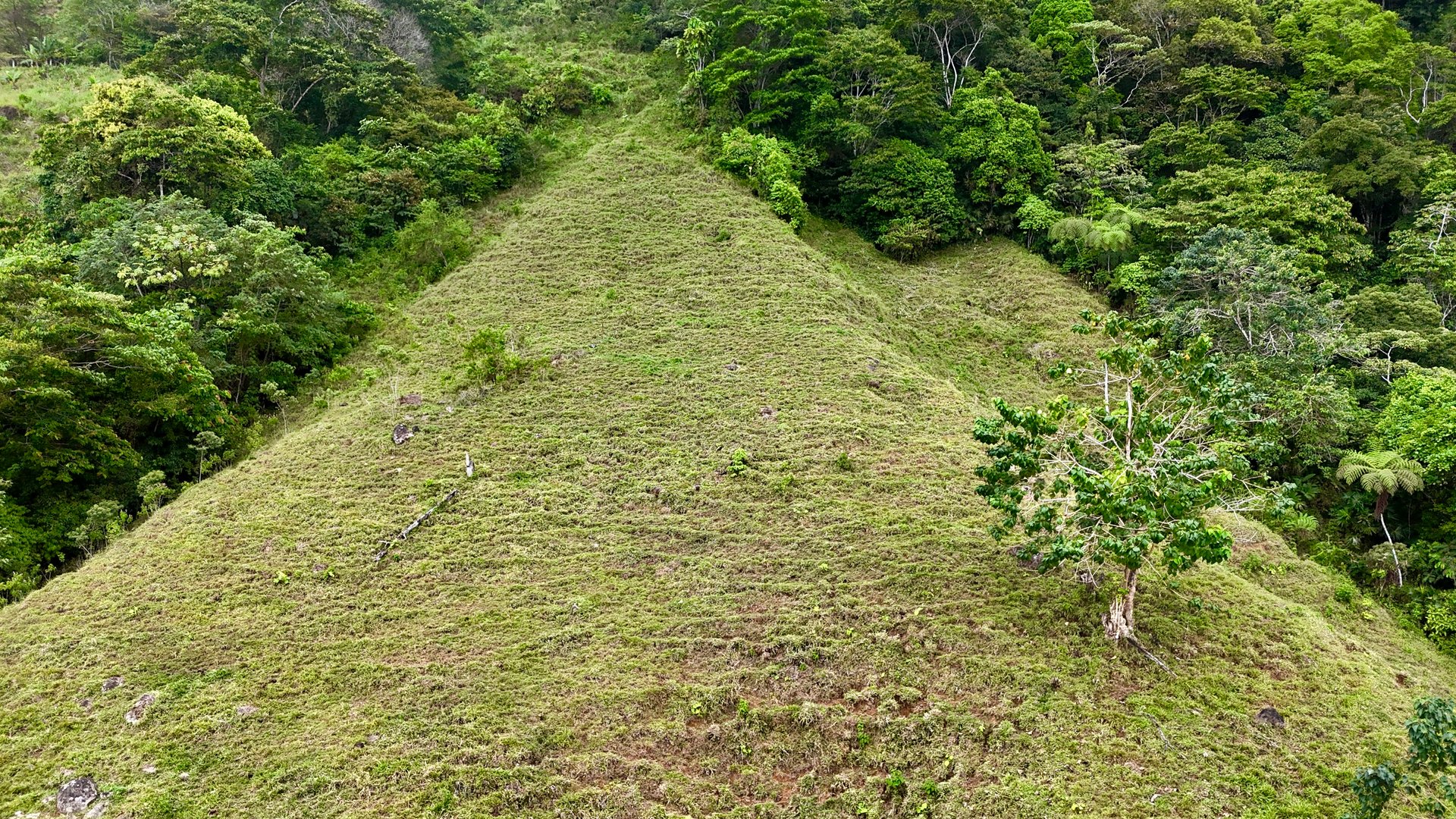 Gorgeous Land in San Luis Morete - Uvita - Over 17 Acres
