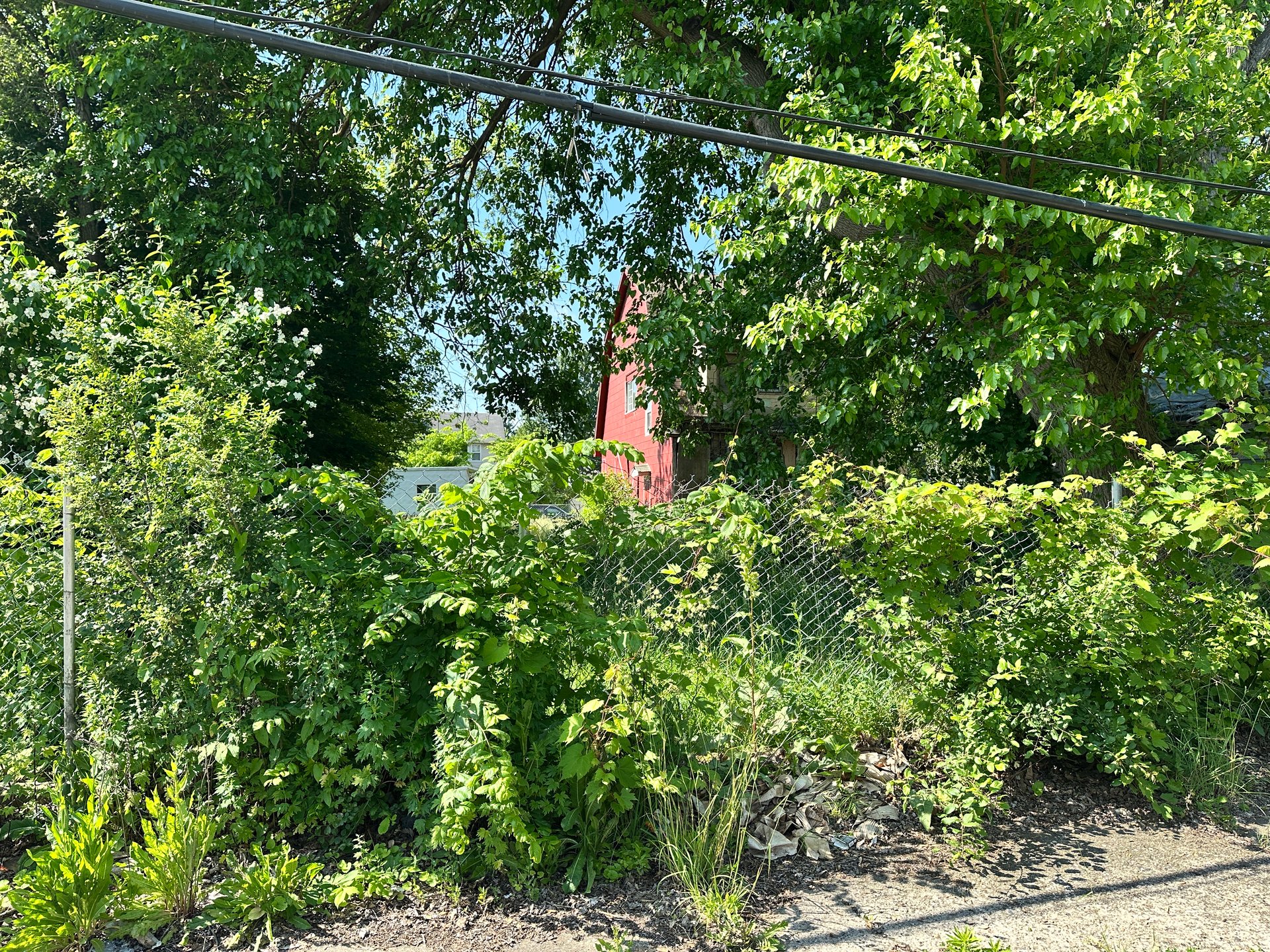28 W Montana St
