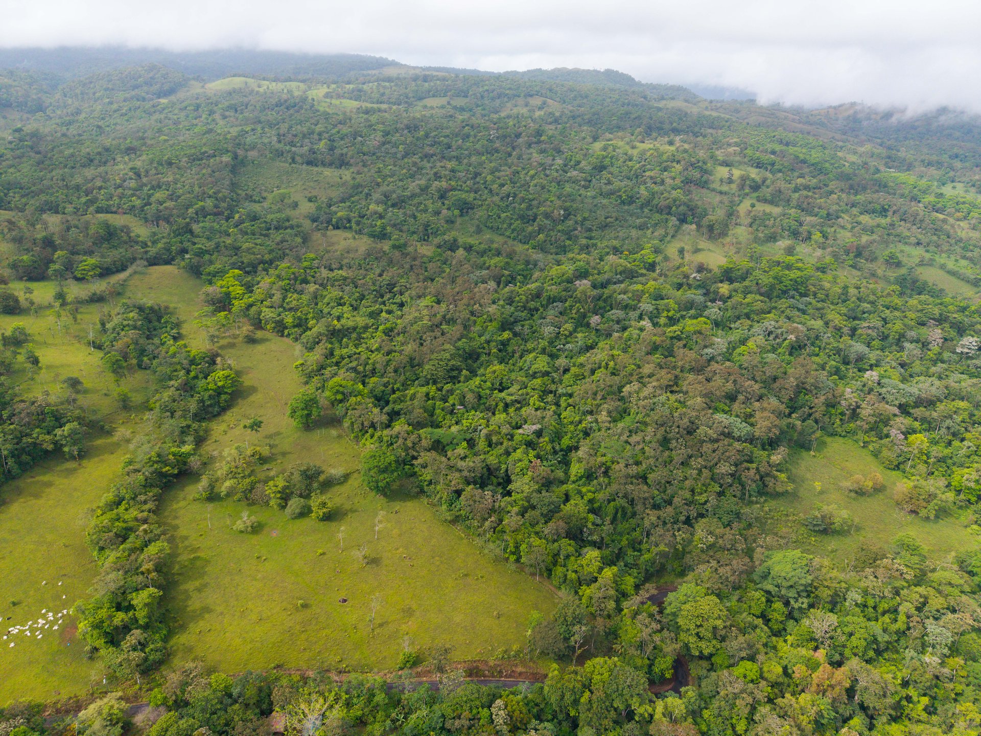 Finca Las Zompopas-Río Celeste | 113-Acre Biodiverse Property in Bijagua, Ideal for Eco-Tourism, Private Retreats, or Sustainable Development