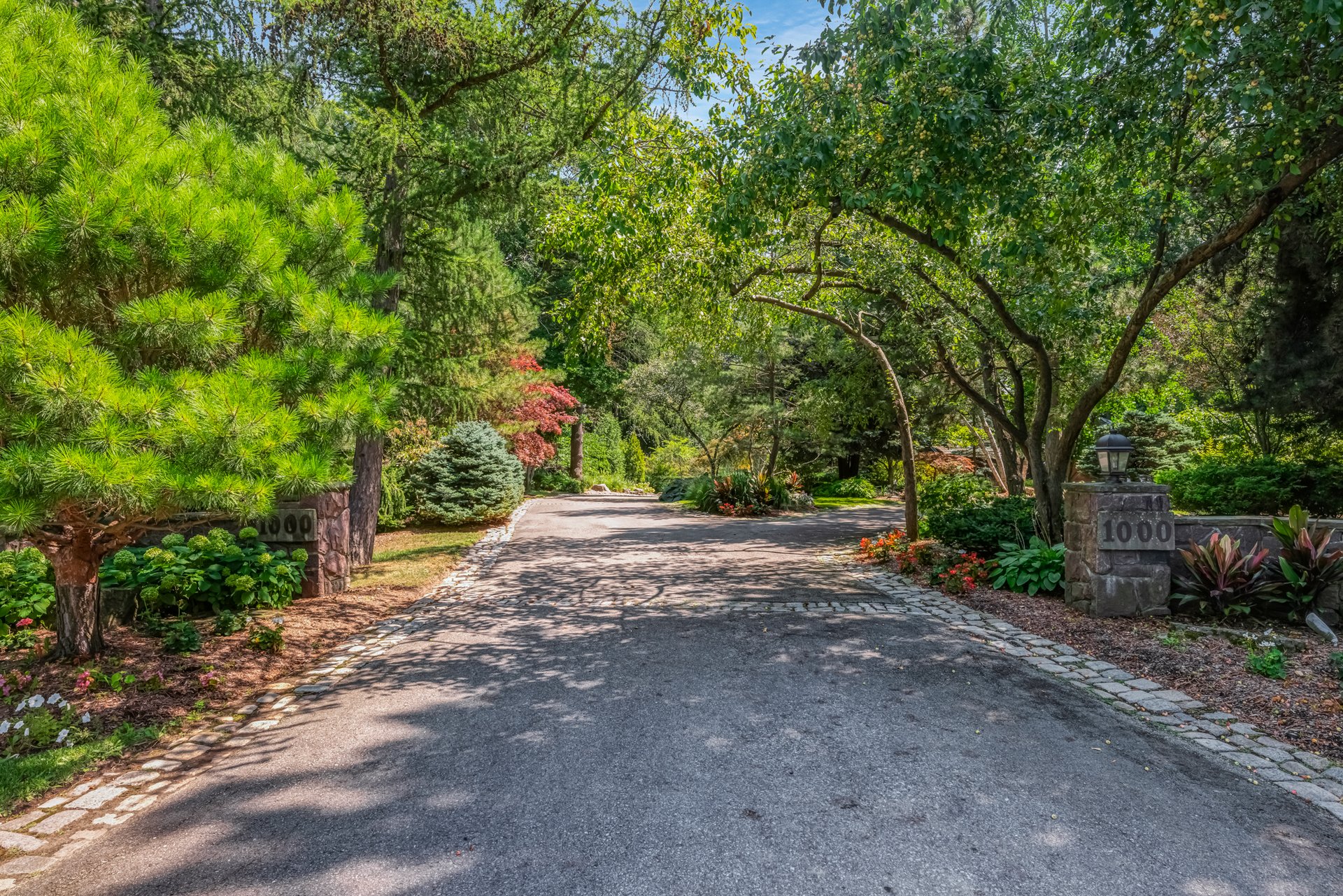 1000 Mississauga Heights Dr