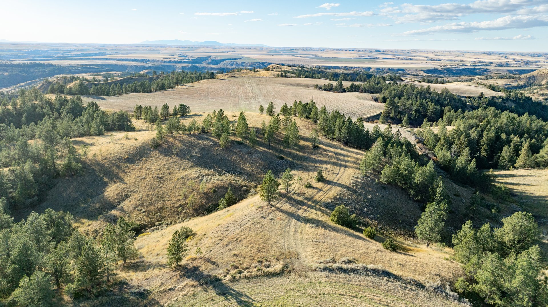 Salt Creek Ranch