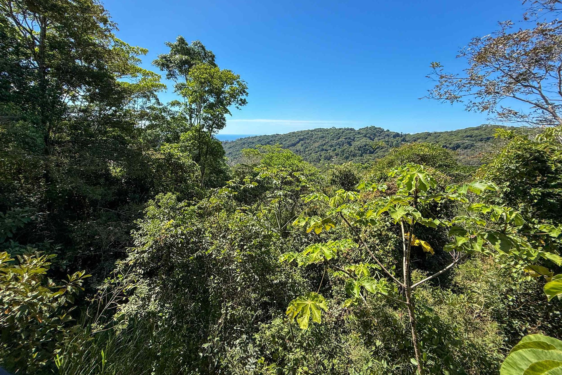 Totally Remodeled Coastal Jungle 2-Bedroom Sanctuary Home with Valley & Ocean Views in Lagunas above Dominical Costa Rica