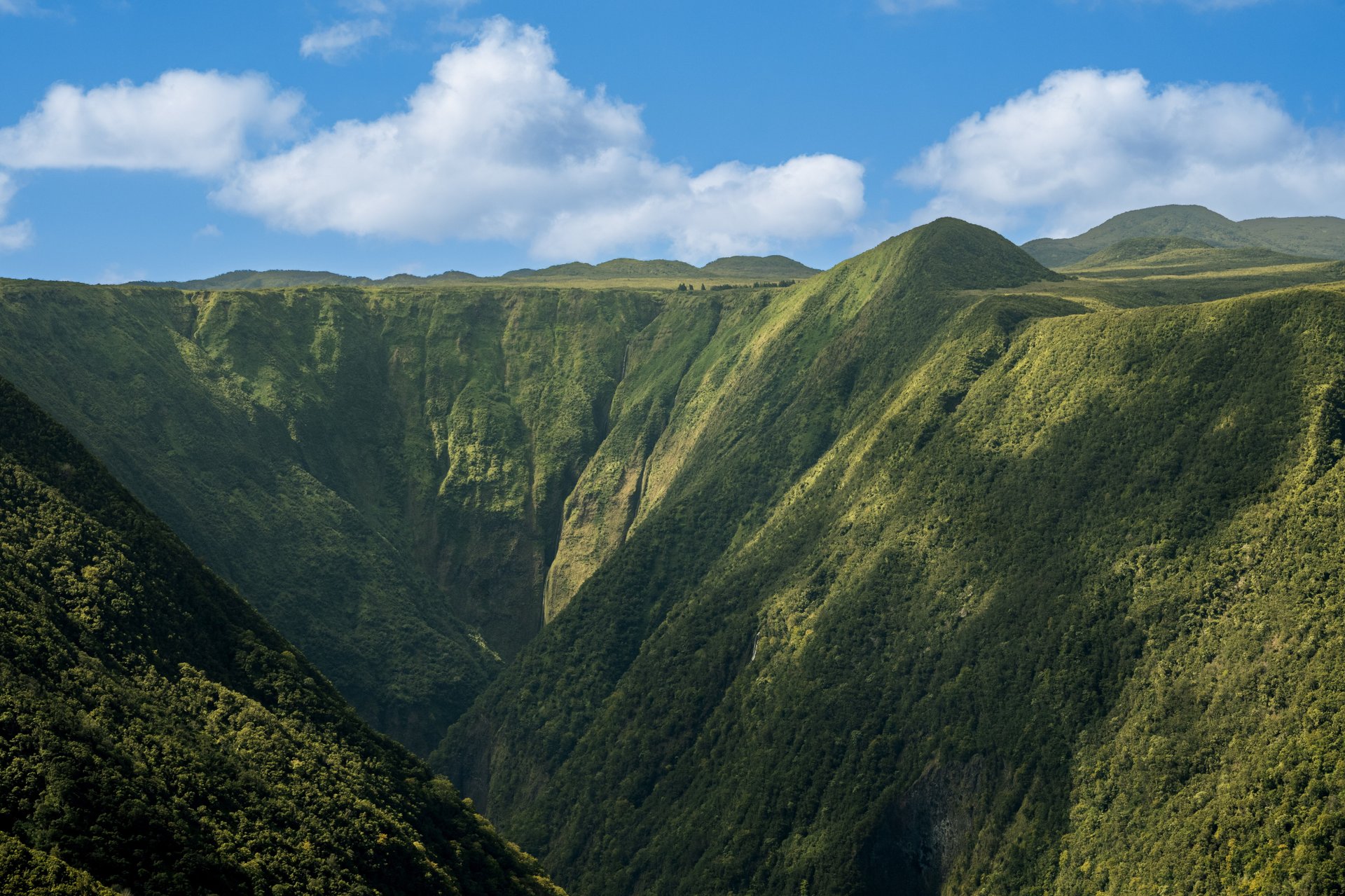 Waipi'o Valley Reserve