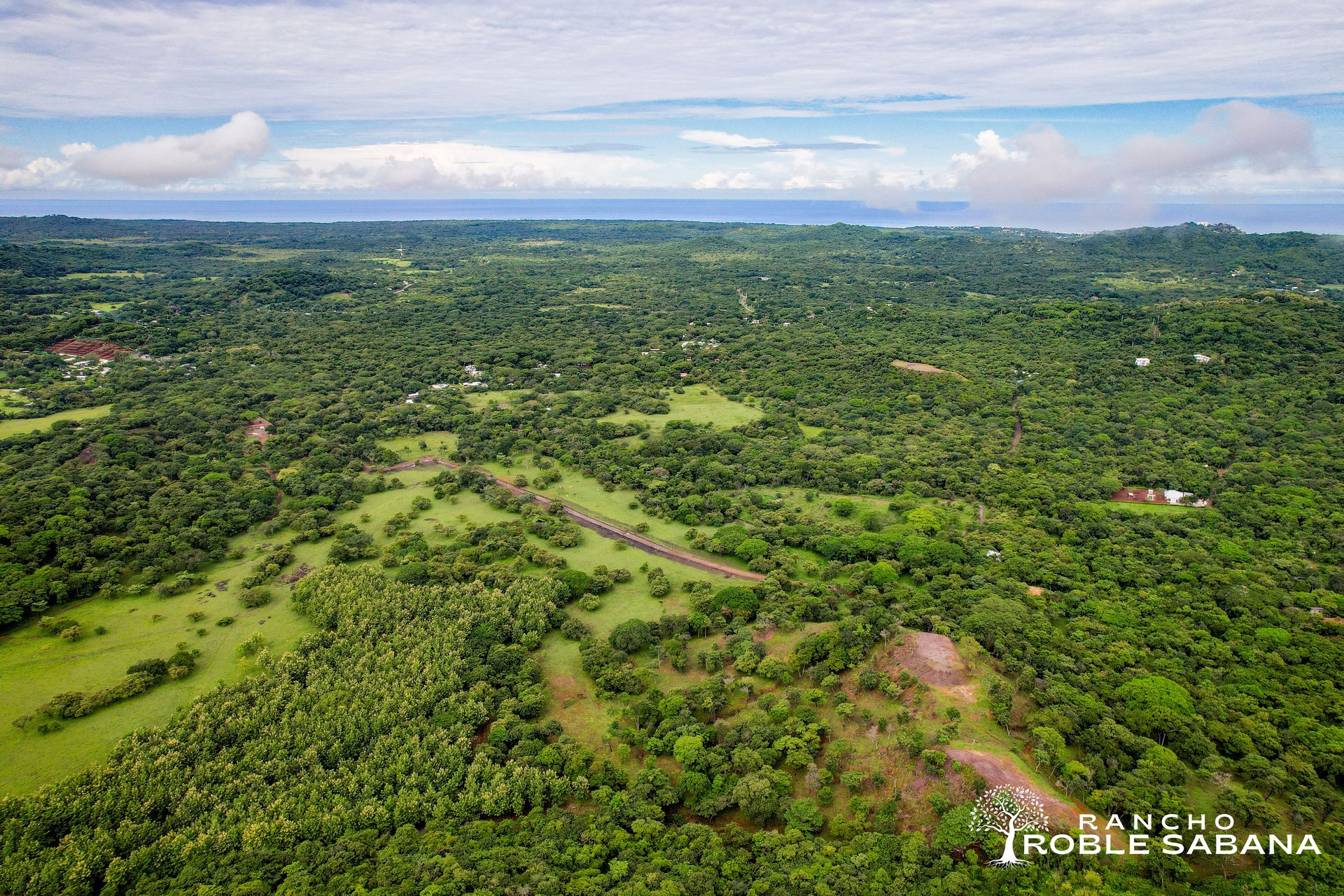 Roble Sabana, Linderos, Guanacaste