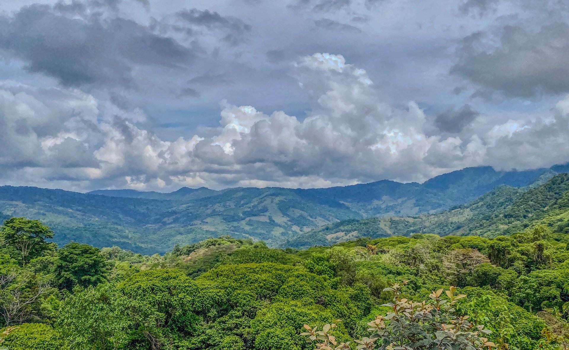 59.35 ACRES- Ocean And Mountain View Land, 6 Building Areas, Legal Water, Public Road, 20min From Beaches!!!