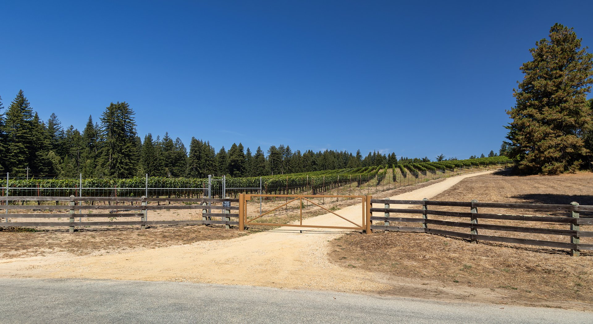 Santa Cruz Vineyard & Horse Property